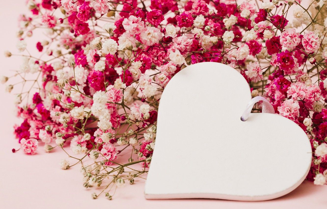 Wallpaper love, flowers, background, pink, heart, love, heart, pink, flowers, romantic image for desktop, section настроения