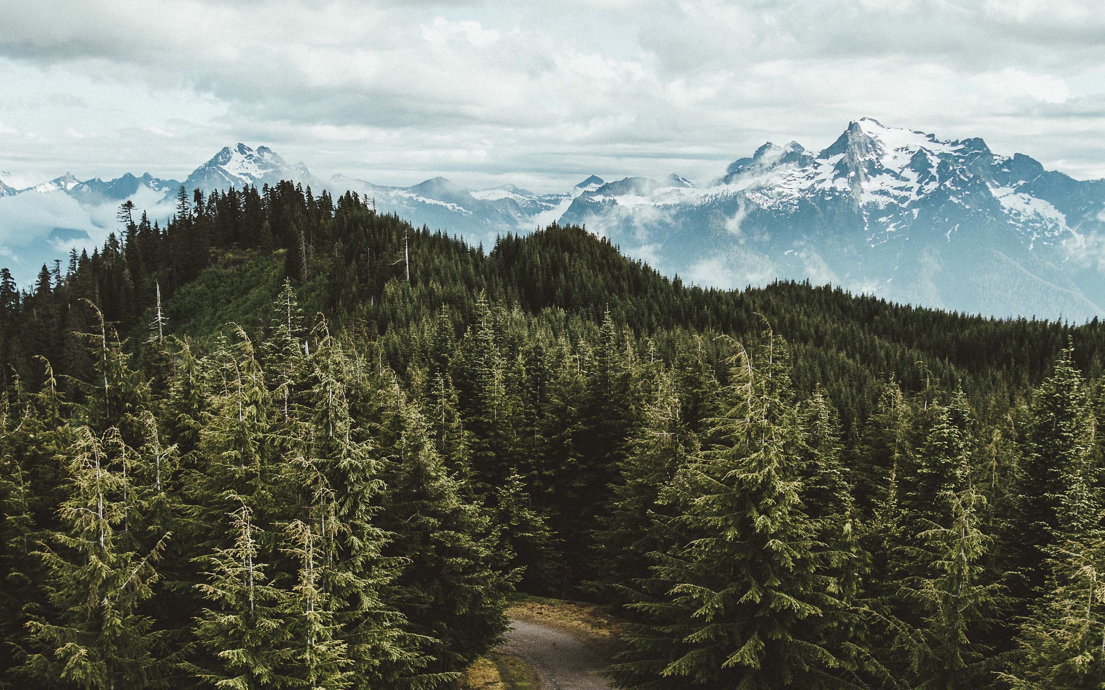 Download wallpaper 3840x2400 mountains, trees, road, aerial view
