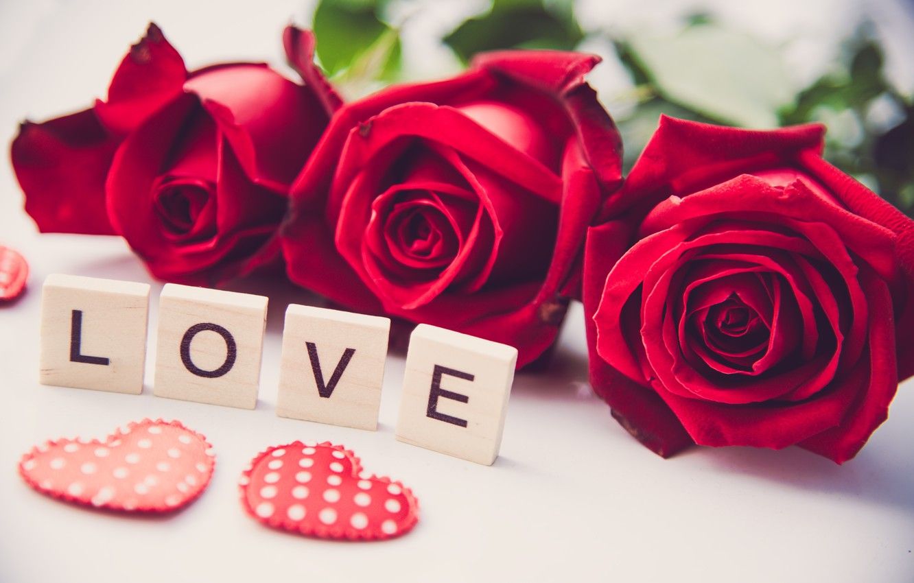 Wallpaper love, heart, roses, red, red, love, heart, flowers, romantic, roses image for desktop, section цветы