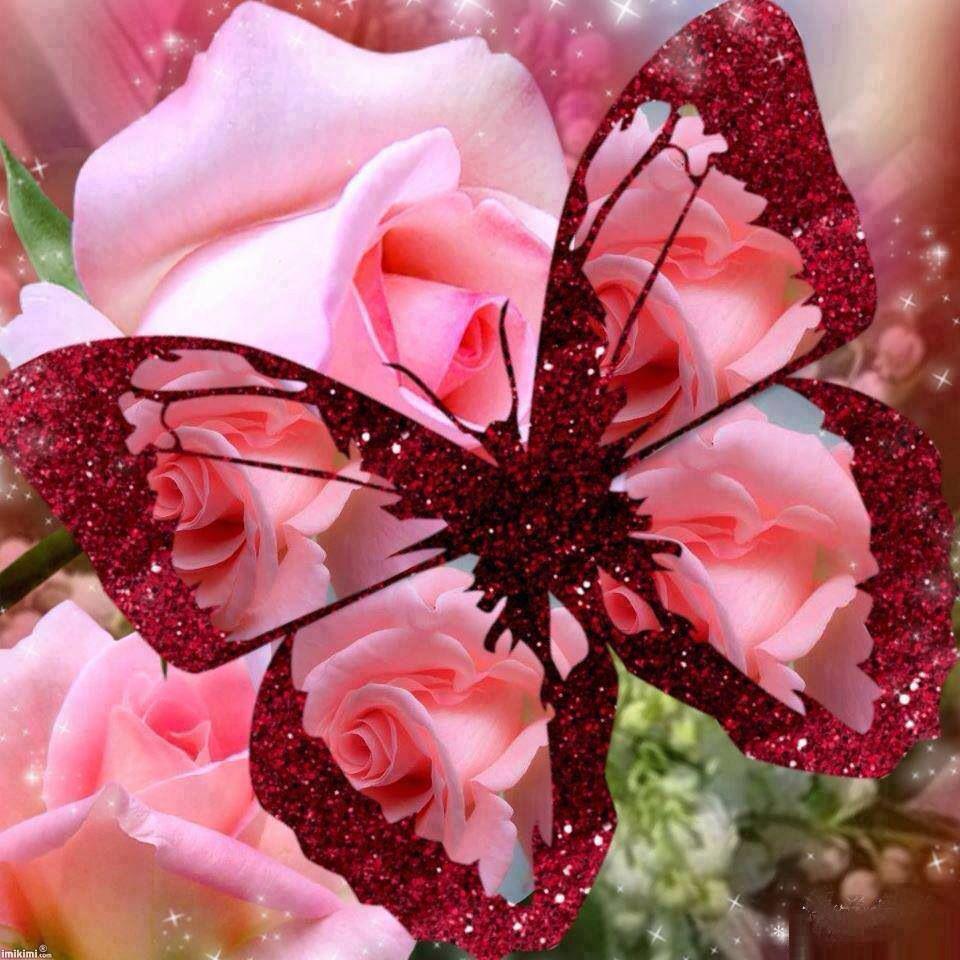 Butterfly rose) Benjamin Rose