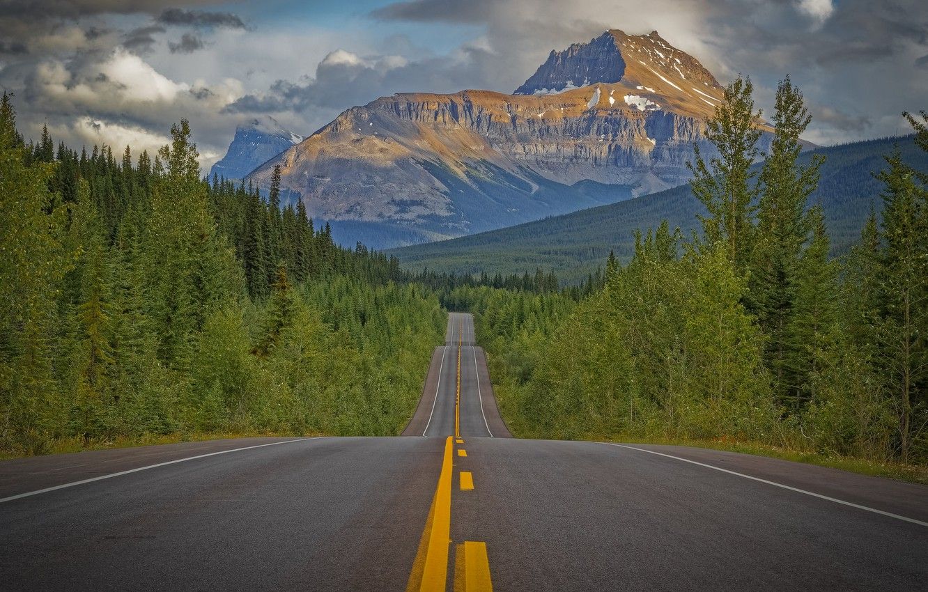 Wallpaper road, forest, trees, mountains, Canada, Canada, Rocky
