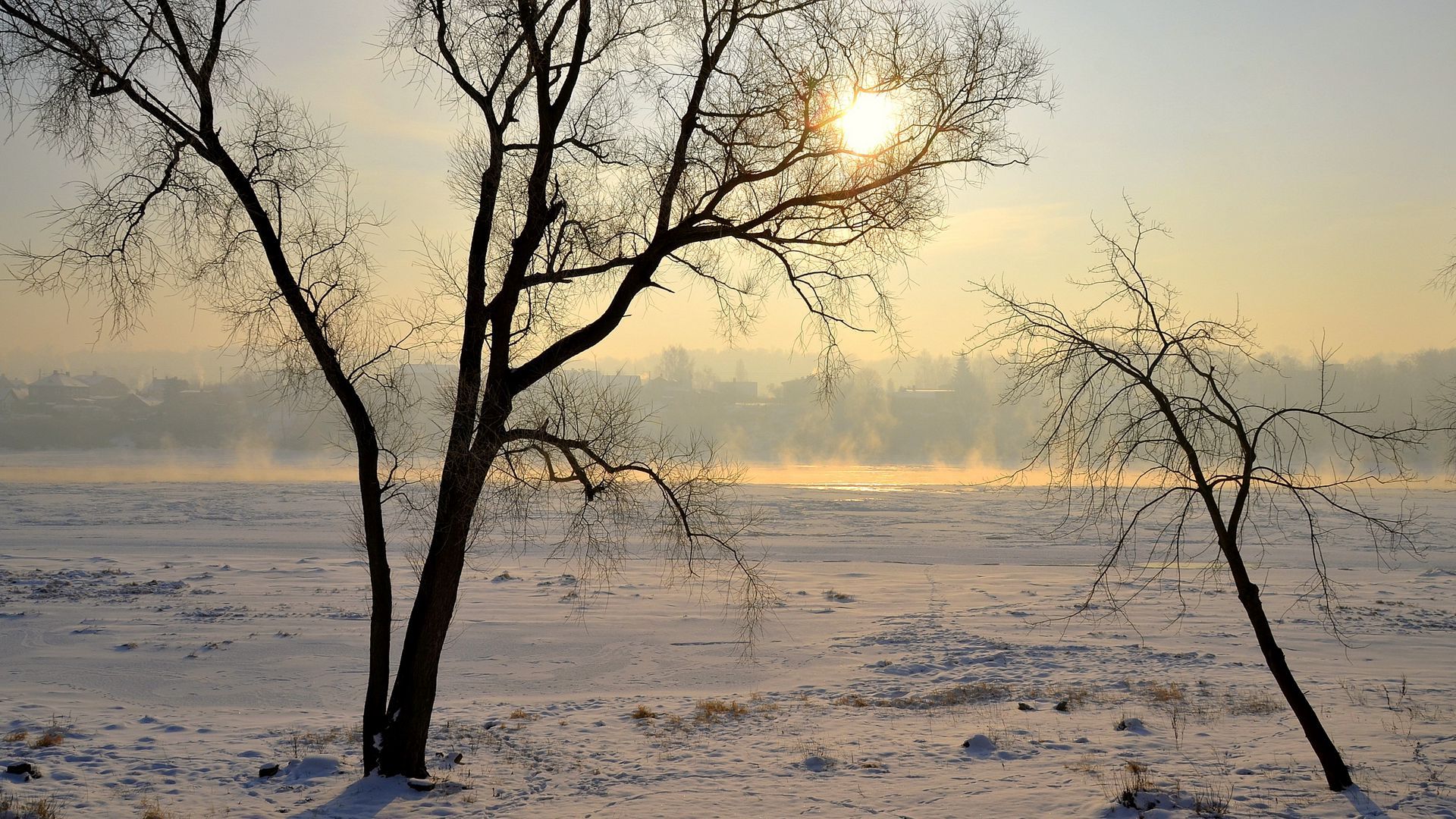 Download wallpaper 1920x1080 lithuania, kaunas, trees, snow, haze