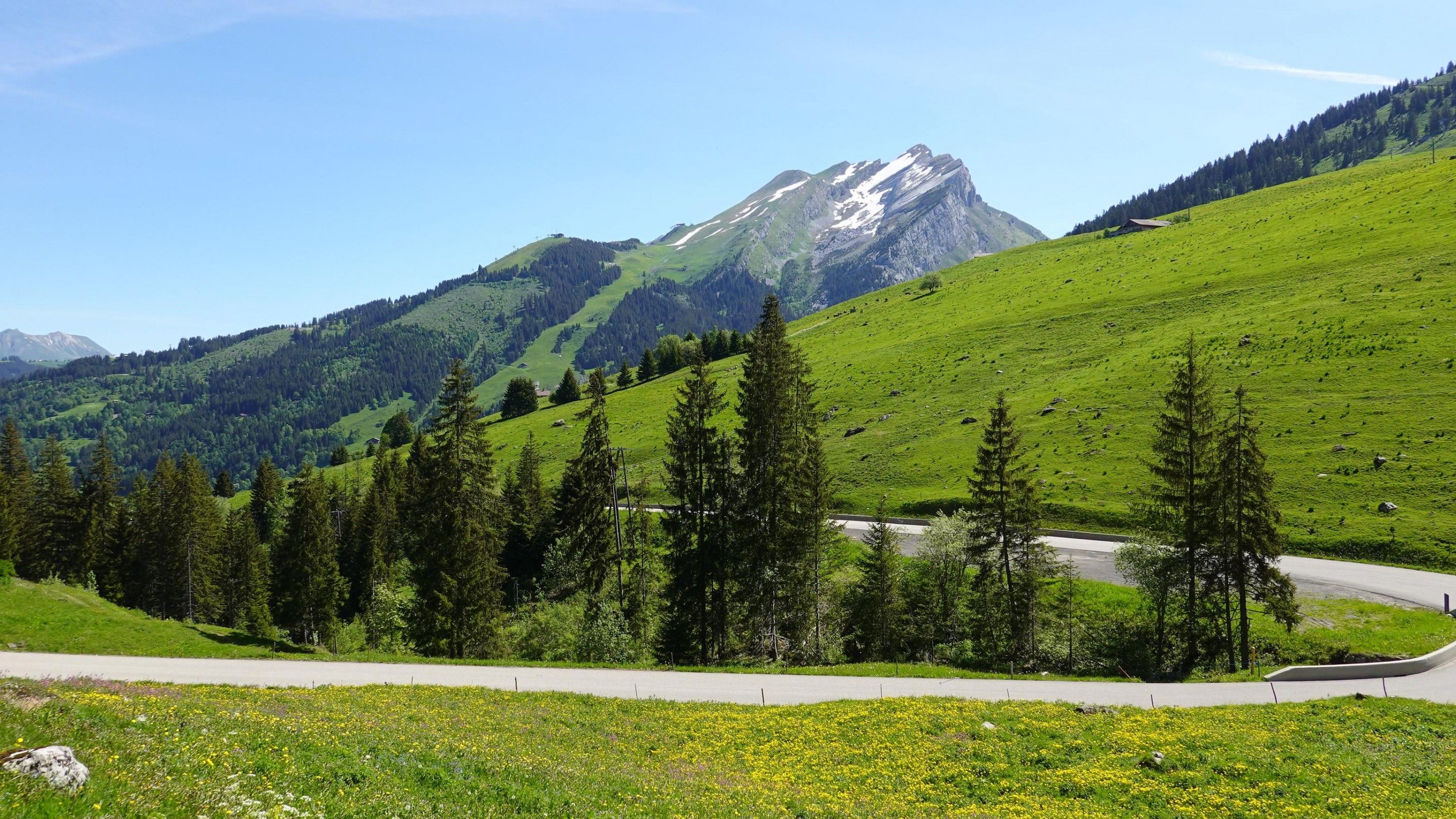 wallpaper mountains, slope, trees, road HD, Widescreen