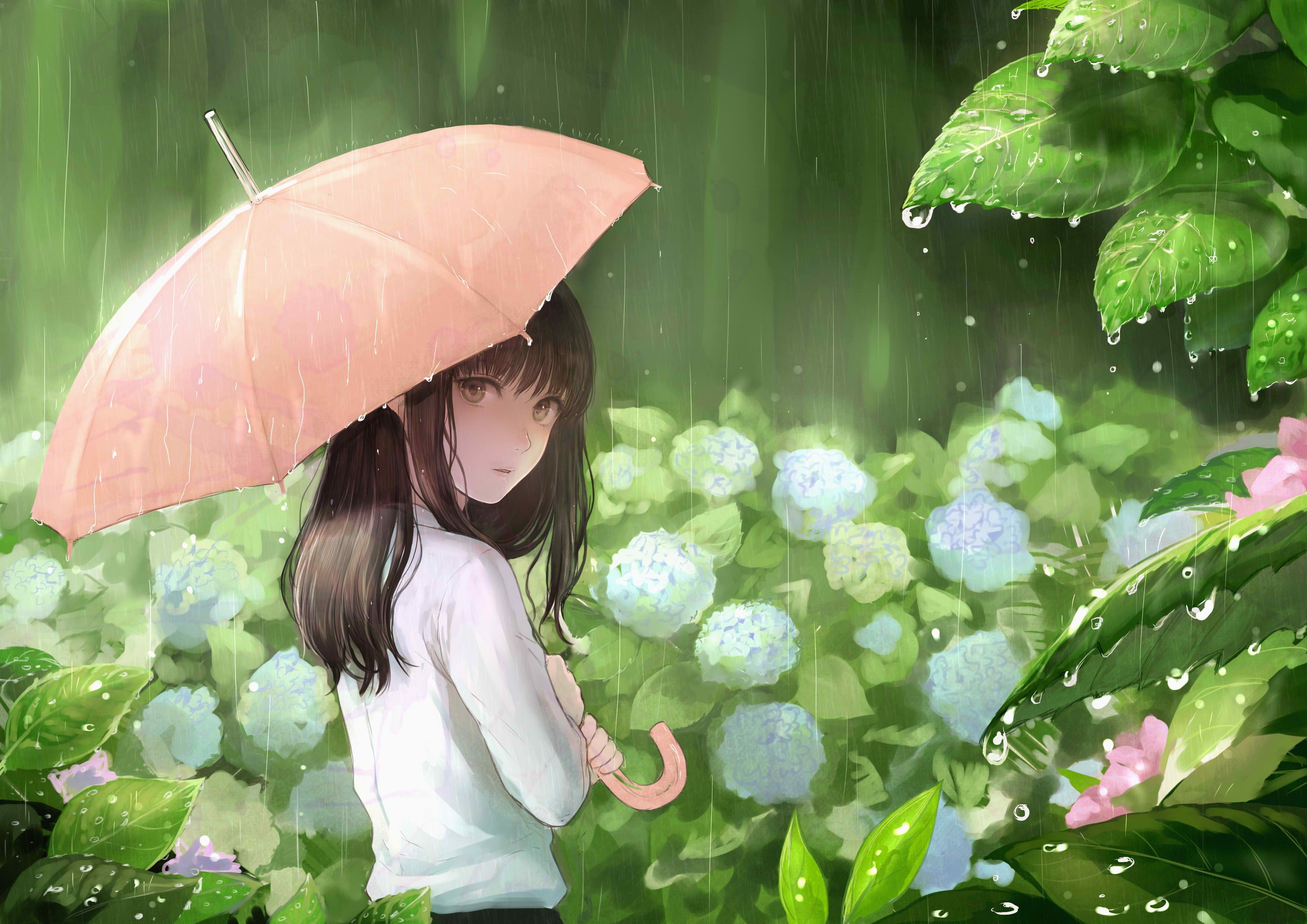 Umbrella HD Wallpaper and Background Image