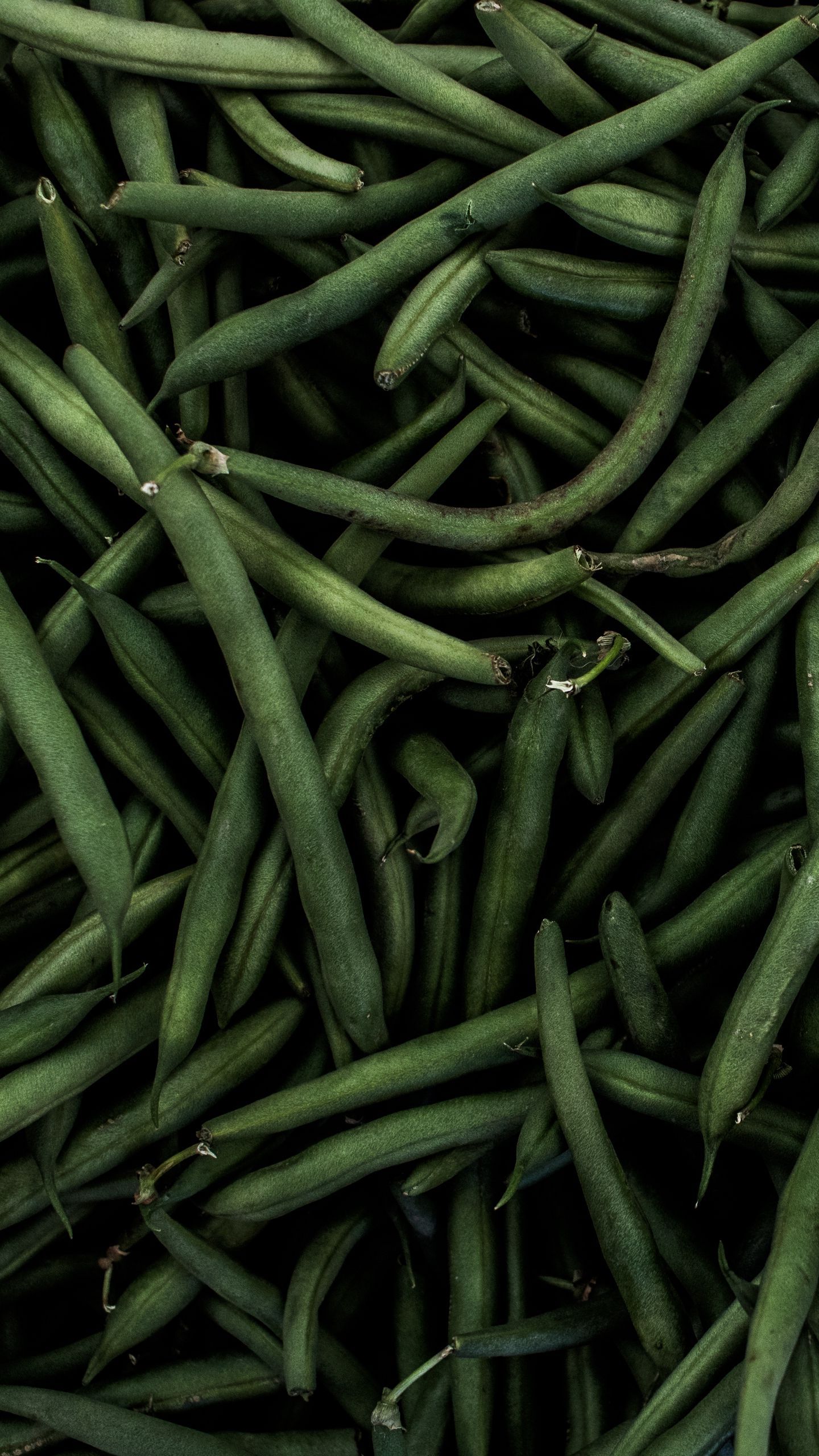 Download wallpaper 1440x2560 beans, pods, green qhd samsung galaxy s s edge, note, lg g4 HD background
