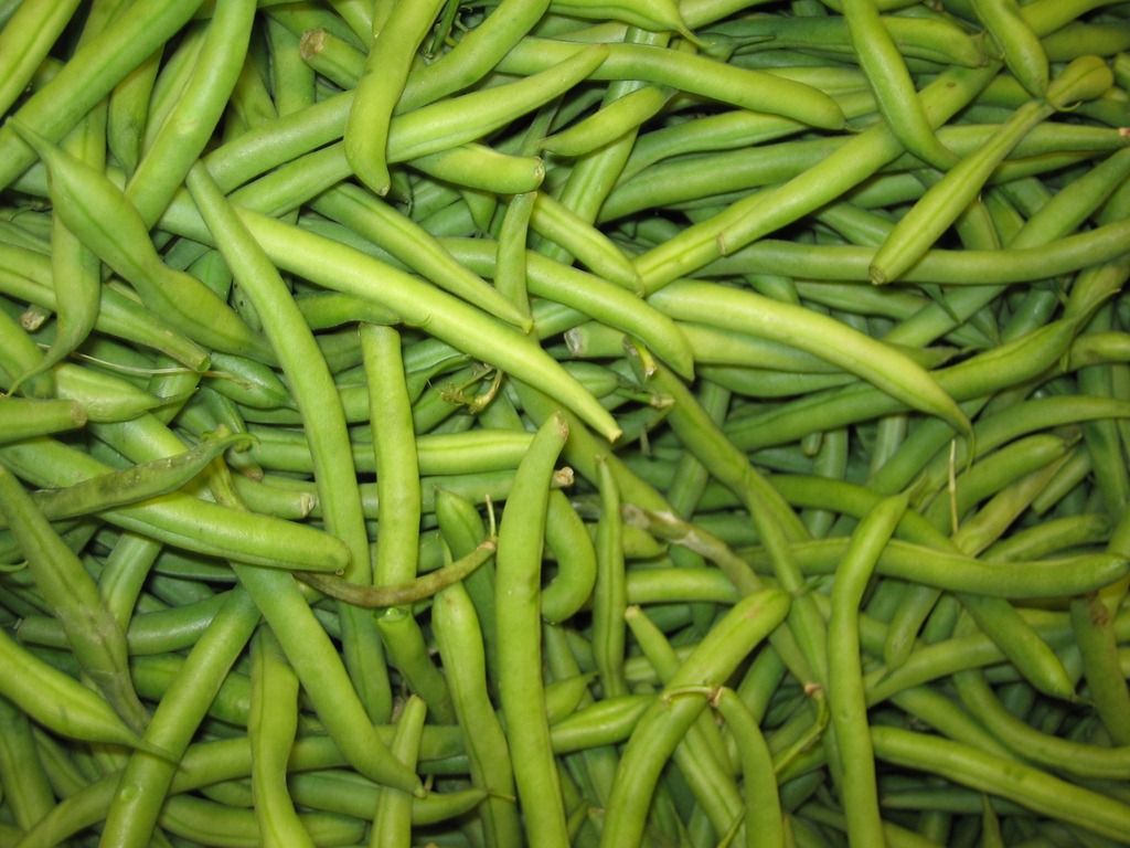 Green Beans: What Are Green Beans