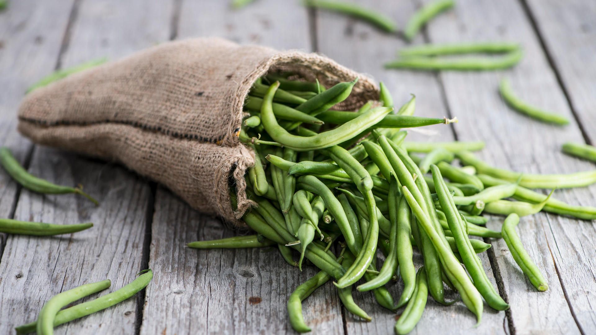 Are raw green beans toxic?
