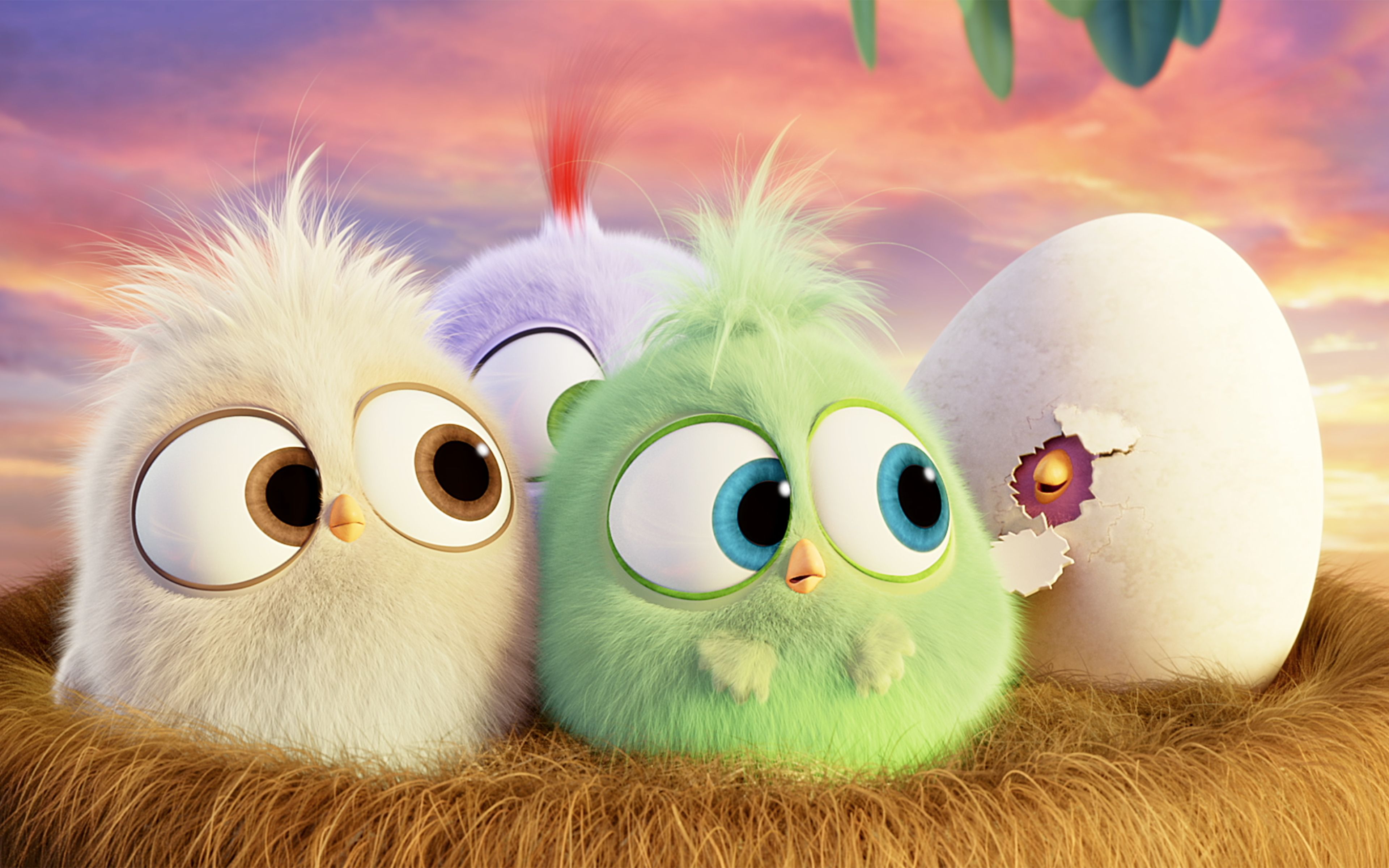 Angry Birds Hatchlings Wallpapers 4k Ultra HD ID:3971