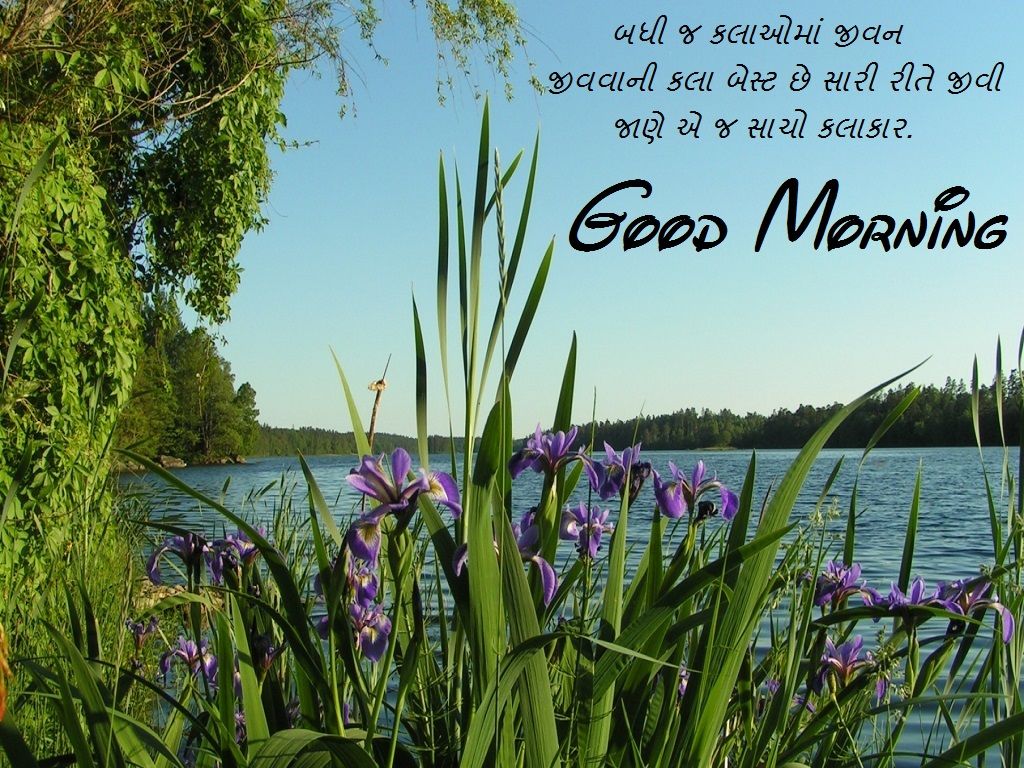 Good Morning Pic Wallpapers - Wallpaper Cave