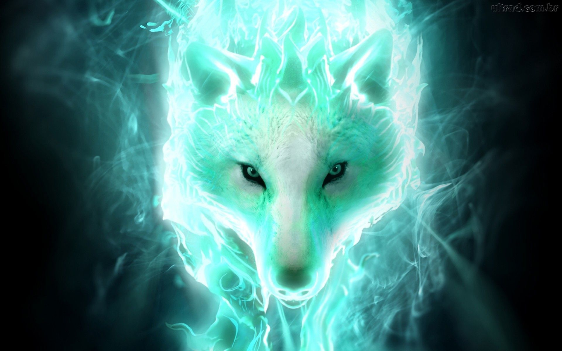 Mystical wolf  3D and CG  Abstract Background Wallpapers on Desktop  Nexus Image 2169120