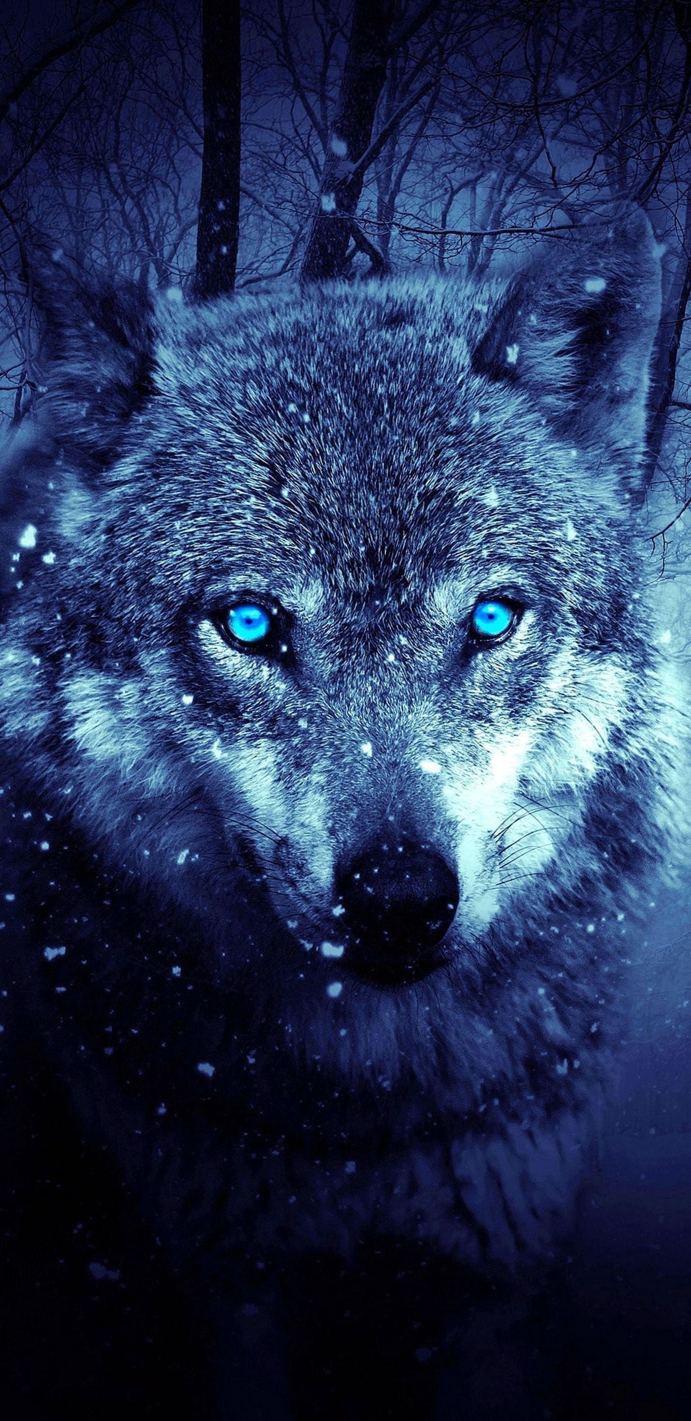 Wolf Wallpaper For Galaxy S8 Wallpaper.Pro