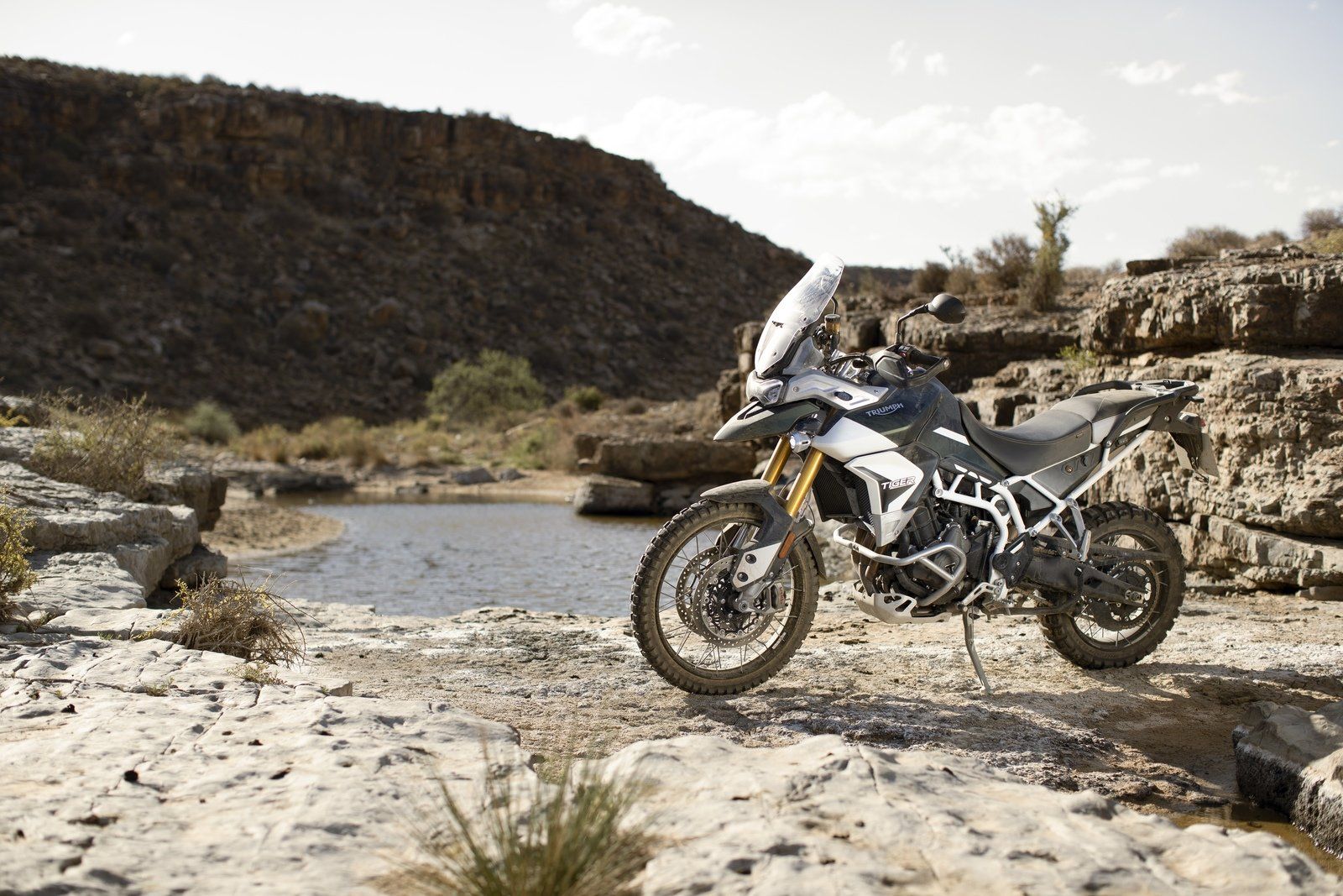 Triumph Tiger 900 RALLY / RALLY PRO Picture, Photo, Wallpaper And Video