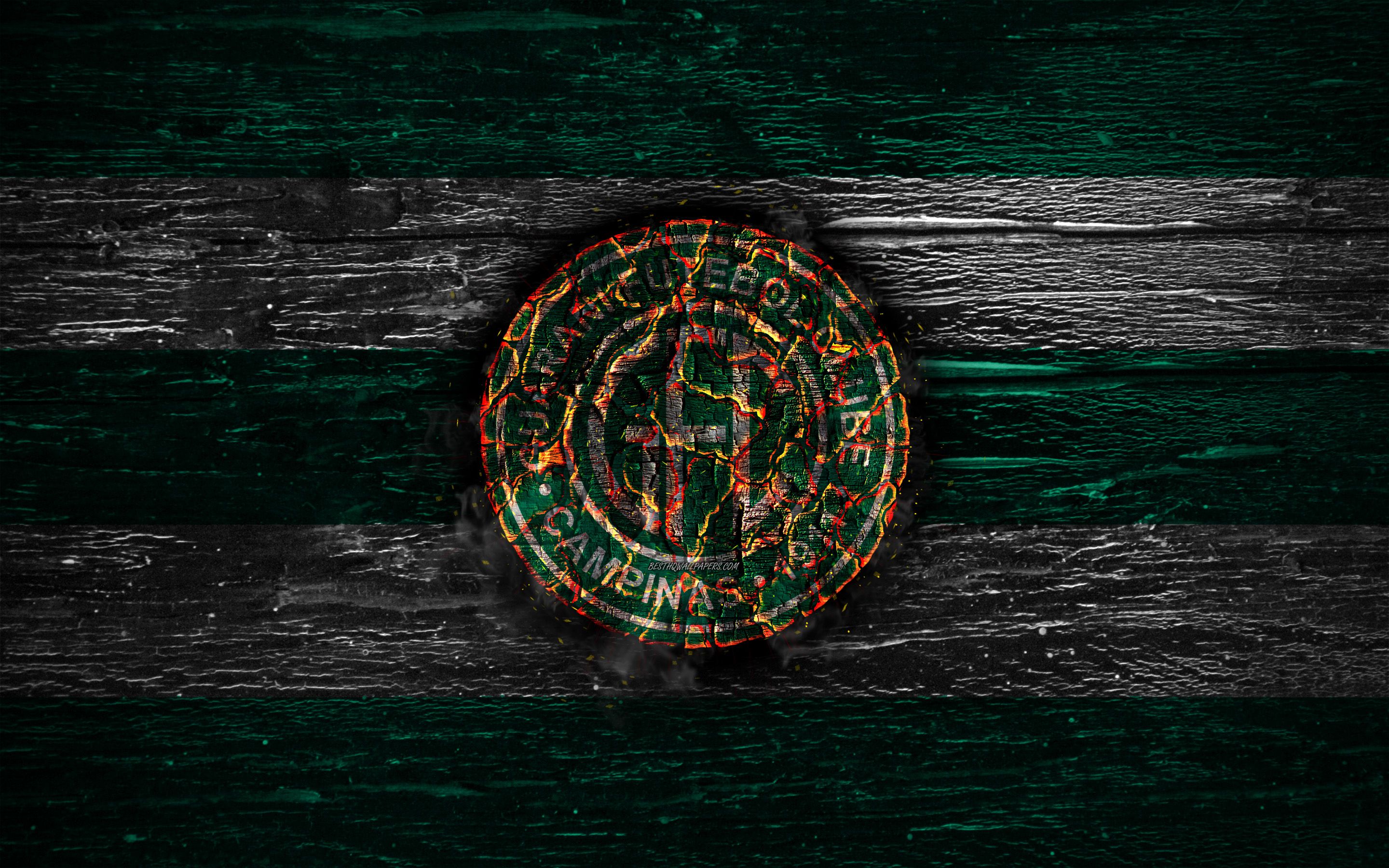 Download wallpaper Guarani FC, fire logo, Serie B, green