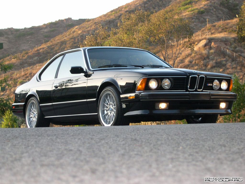 BMW M6 E24 photo with 9 pics