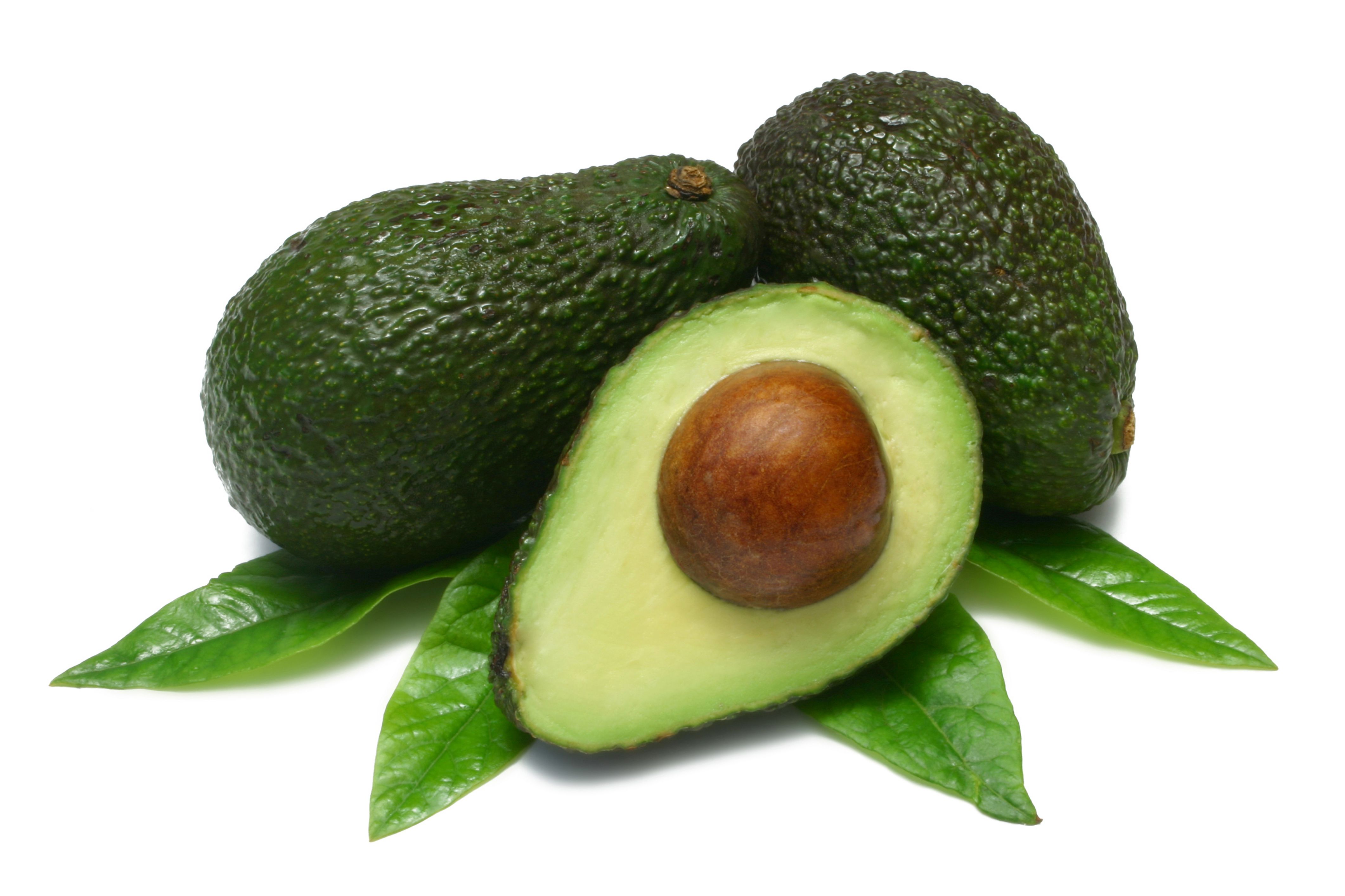 Avocado HD Wallpaper
