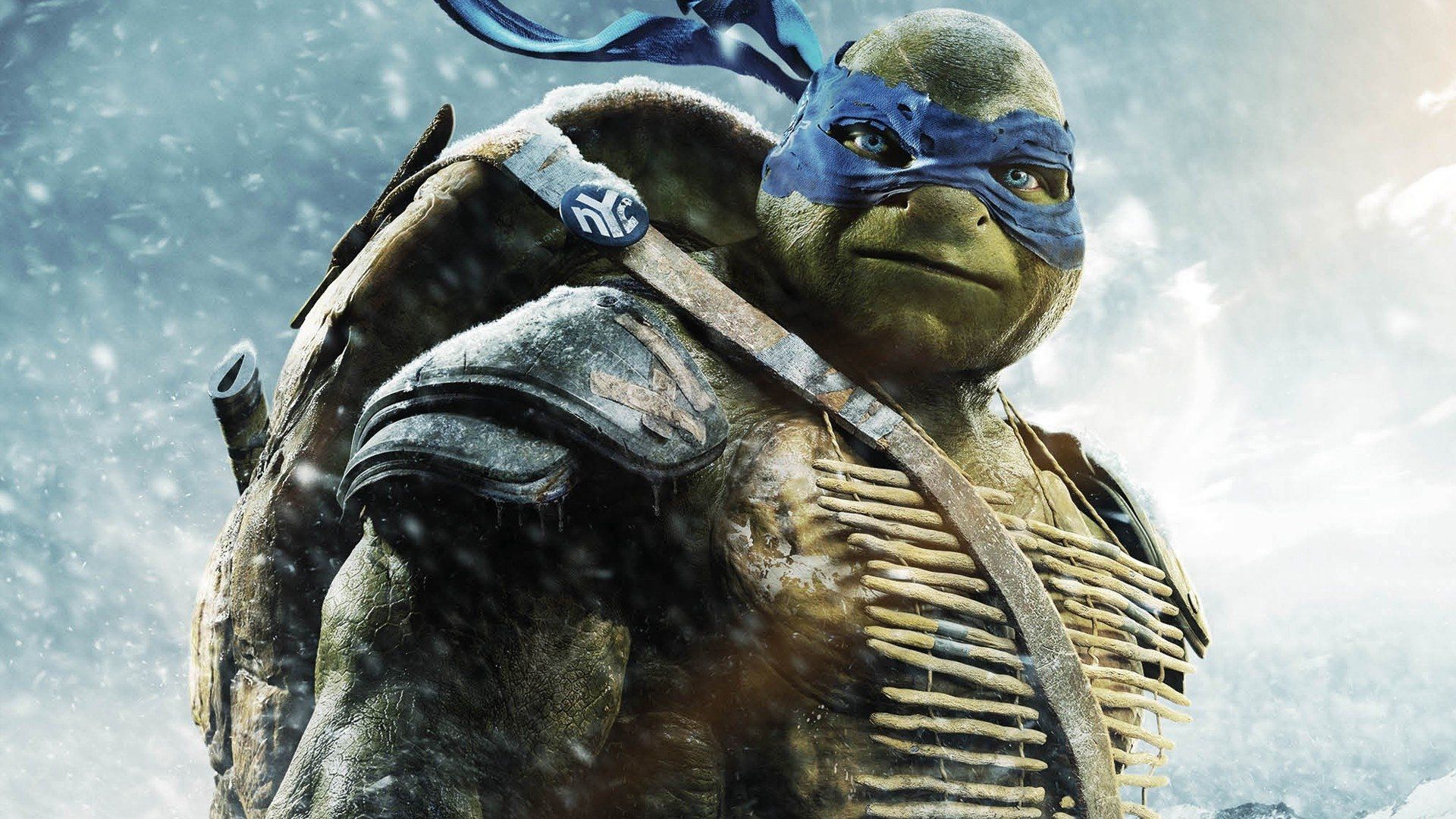 Teenage Mutant Ninja Turtles (2014) HD Wallpaper and Background Image