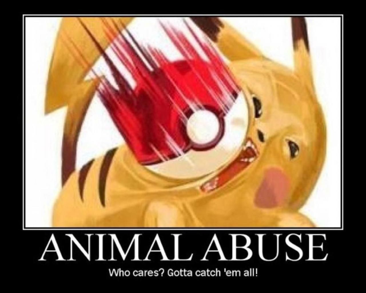 funny pokemon meme HD Wallpaper. Pokemon funny, Funny pokemon