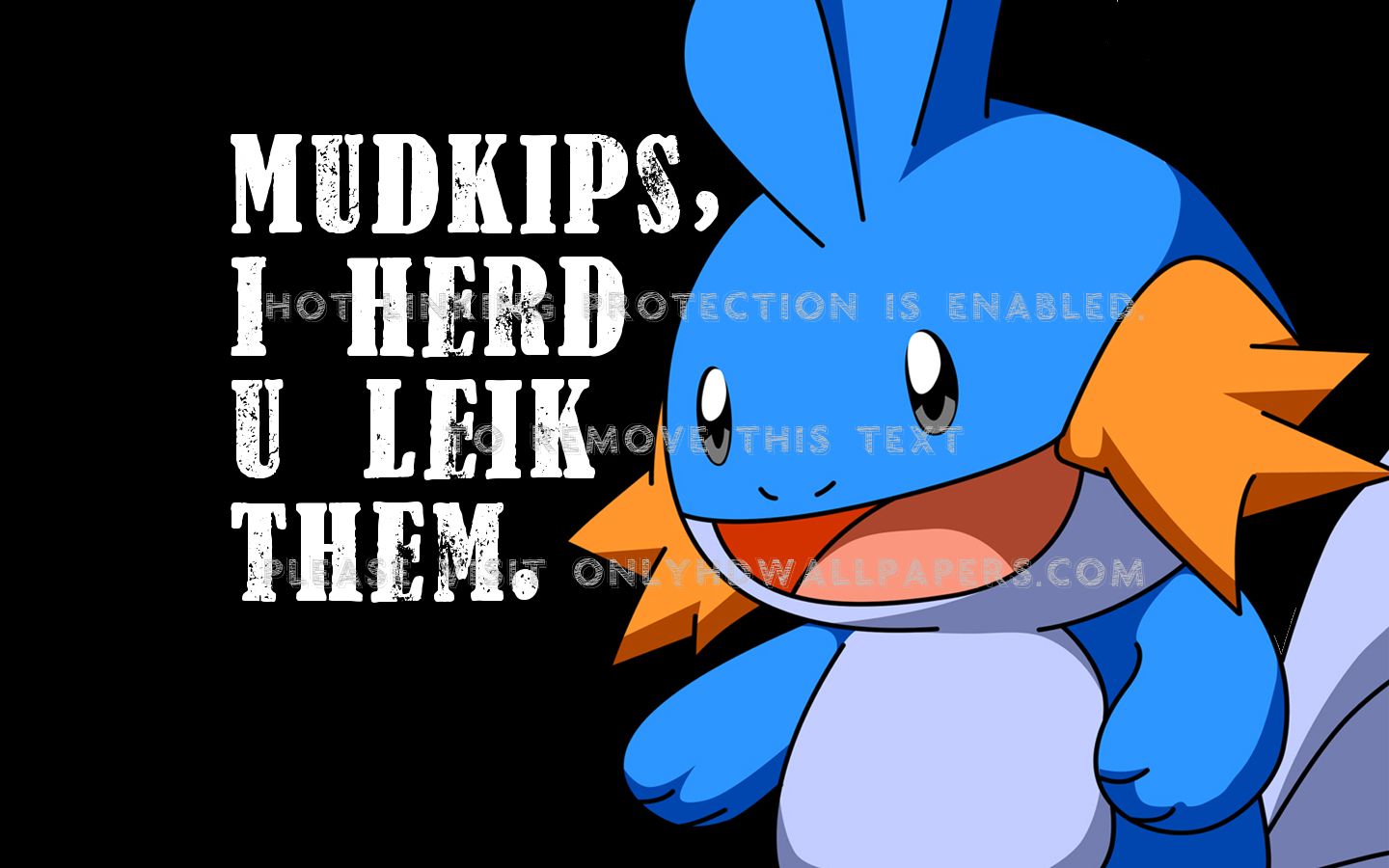 Pokemon Mudkip meme black