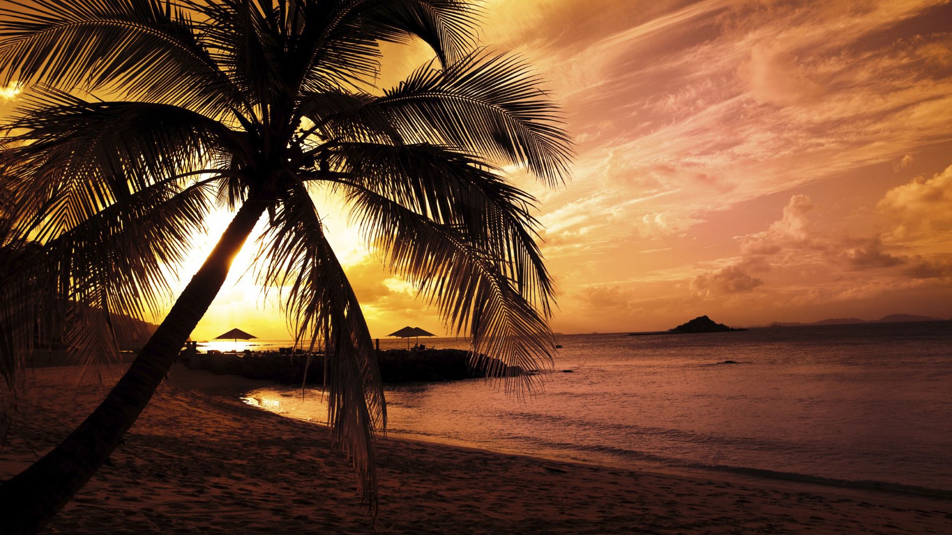 Free download Nature Full HD Wallpaper National Geographic