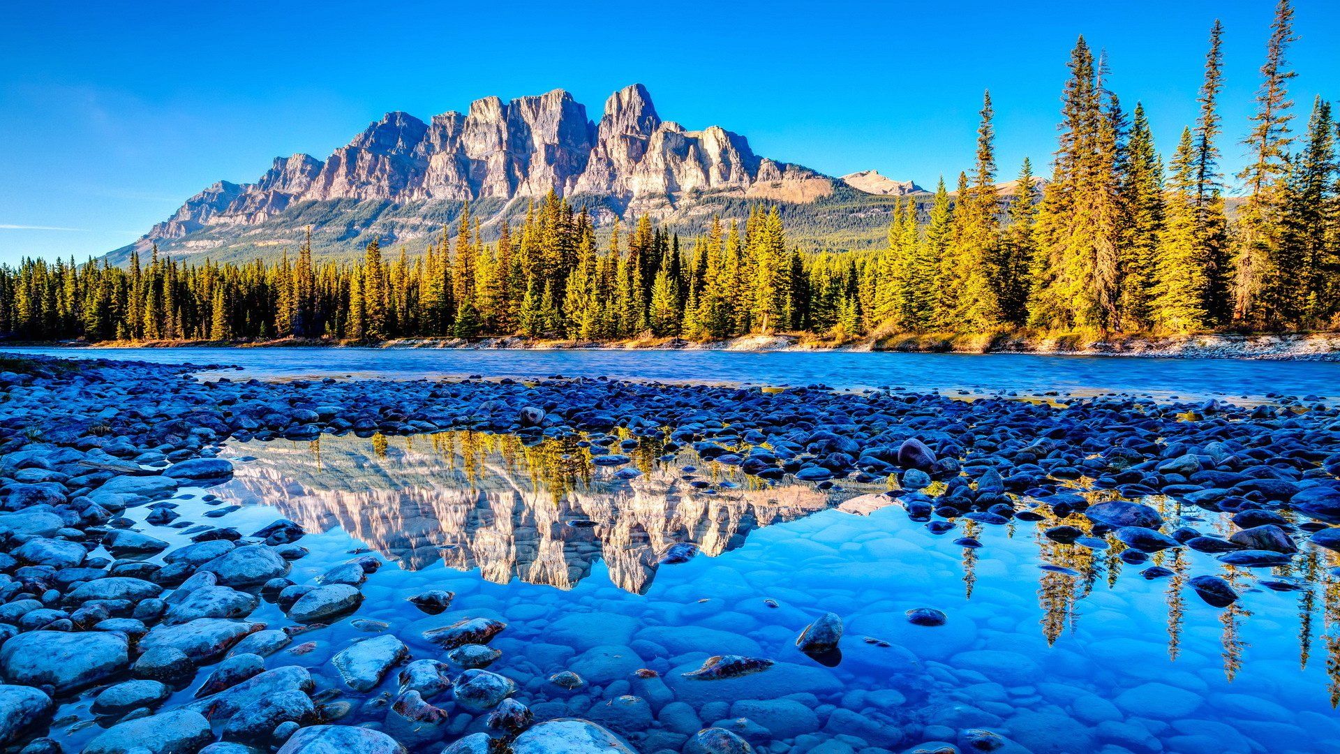 Beautiful Full HD Desktop Background
