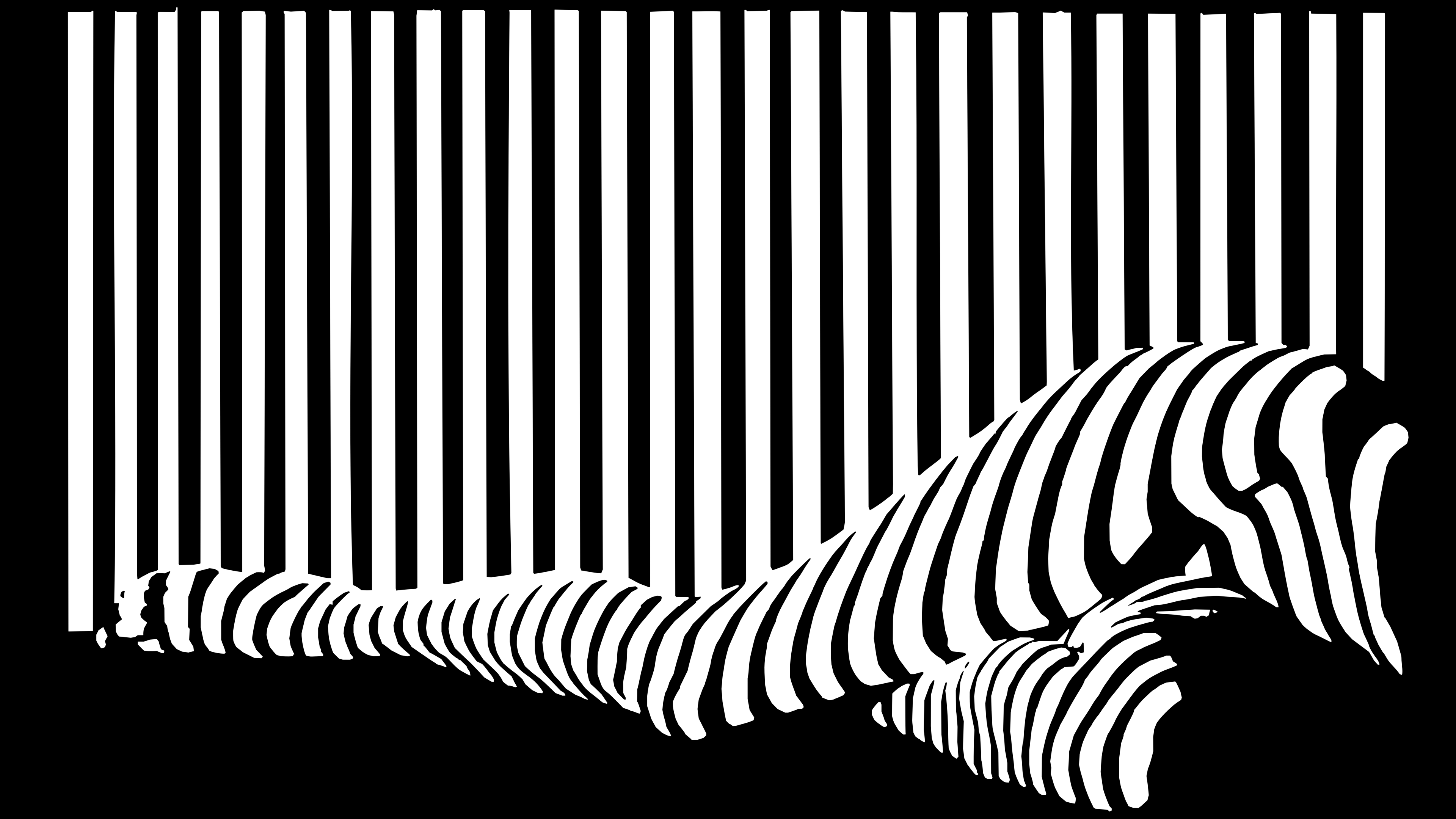 Monochrome Barcode Woman Legs. Barcode art, Optical illusions art