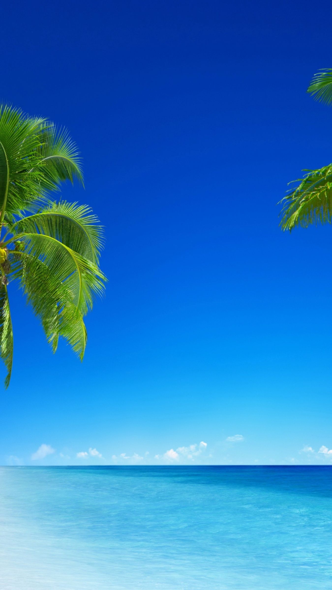 Download tropical beach, 5k, 4k wallpaper, 8k, paradise, palms