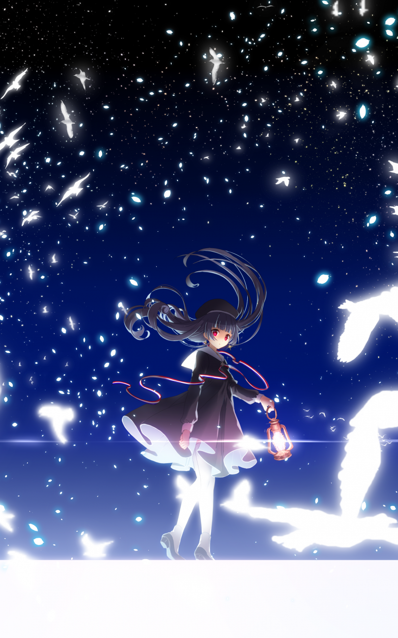 Download 800x1280 Anime Girl, Birds, Magic, Particles, Long Hair