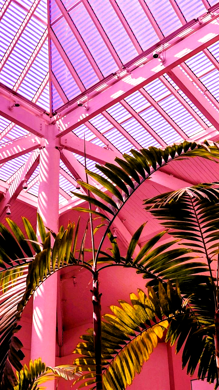 aesthetic wallpaper iphone tumblr pink