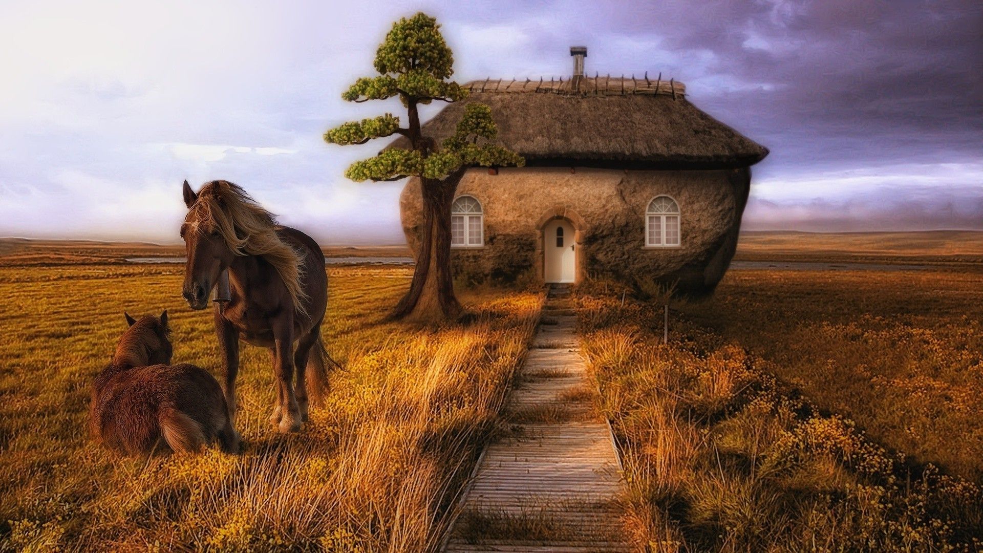 Drawn picture. Horses have a small house