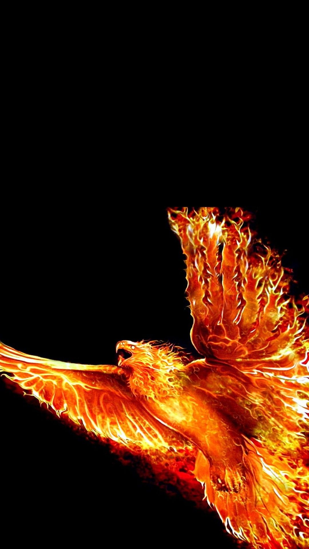 Phoenix bird fire orange hop red HD phone wallpaper  Peakpx