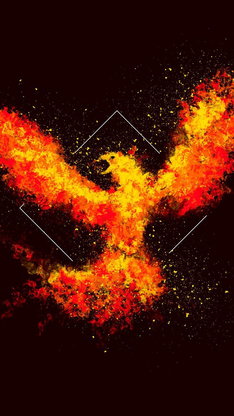 Download wallpaper 800x1420 phoenix, bird, fire, art, square