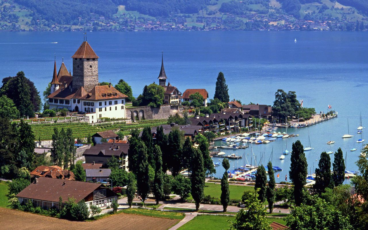 New Wallpaper Design: Free Travels Wallpaper