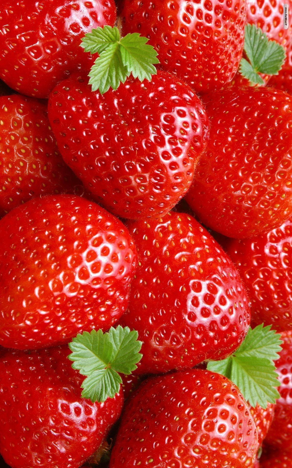 Strawberries Wallpaper Free Strawberries Background