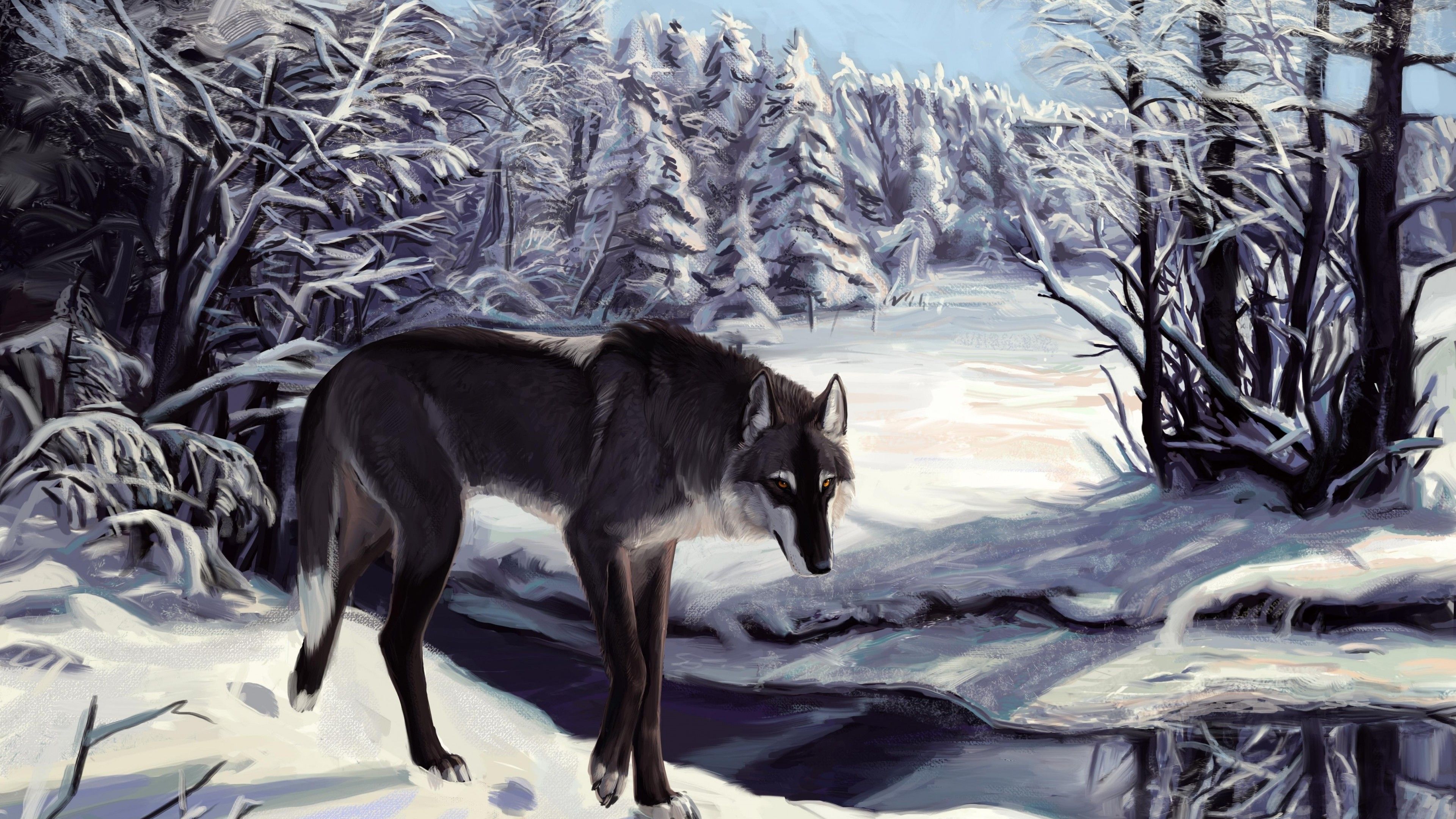 Wallpaper Wolf, winter, lake, sight, gray, white, forest, alone
