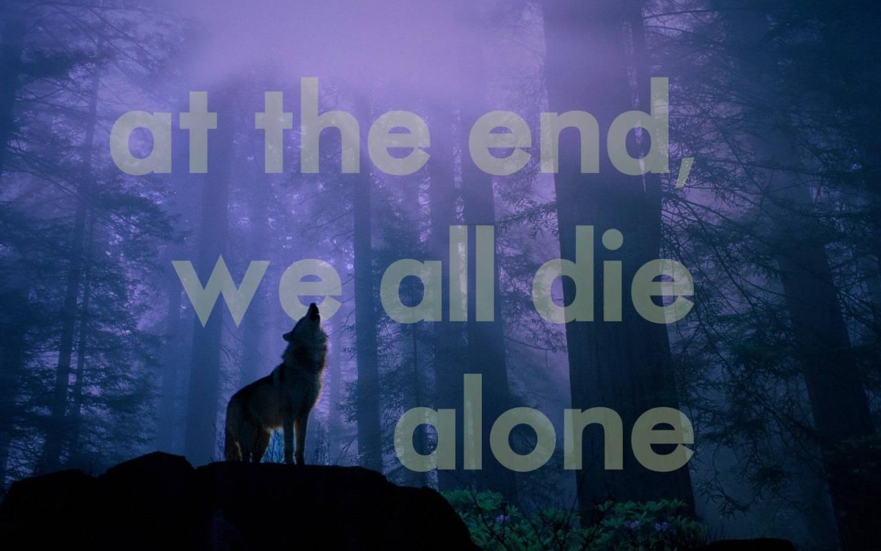 Alone Wolf Wallpapers Wallpaper Cave