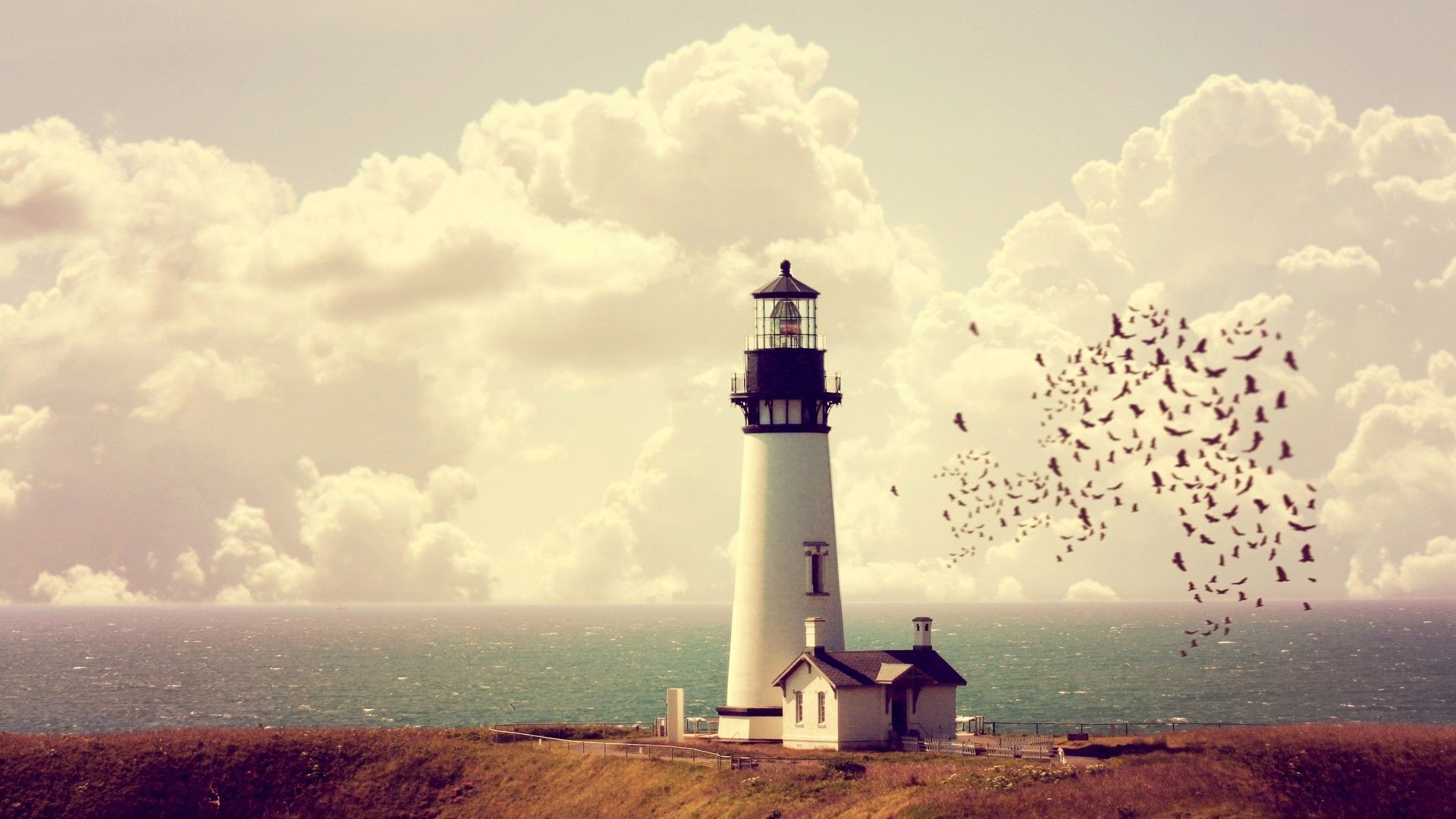 #house, #sea, #birds, #nature, #lighthouse, #clouds