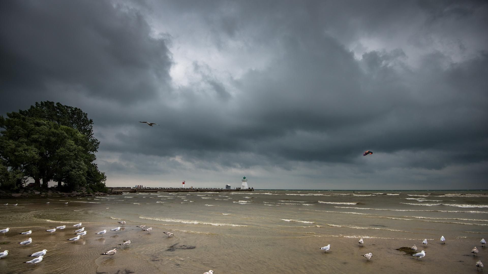 HD Sea Aeyaey Lighthouse Birds Landscape Ocean Beaches Seagull