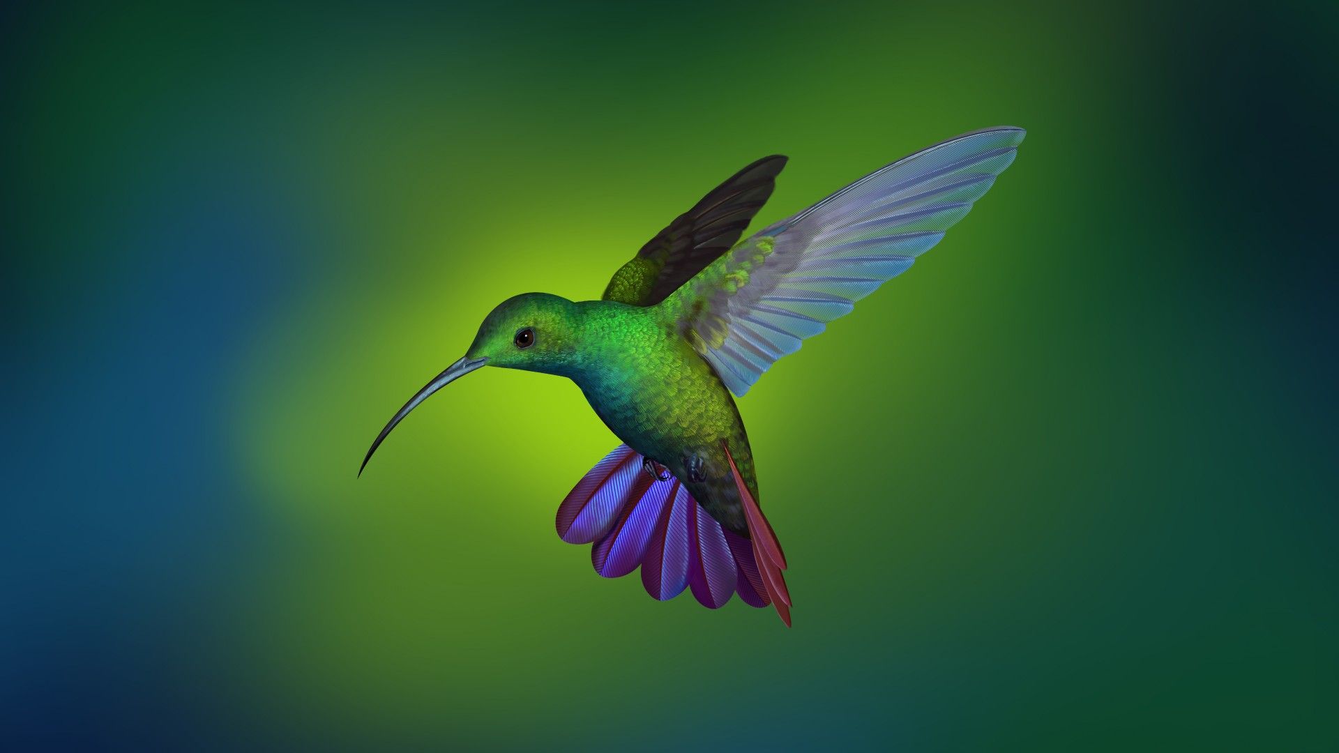 Wallpaper Hummingbird, Deepin OS, Arch Linux, Stock, 4K, Animals,. Wallpaper for iPhone, Android, Mobile and Desktop