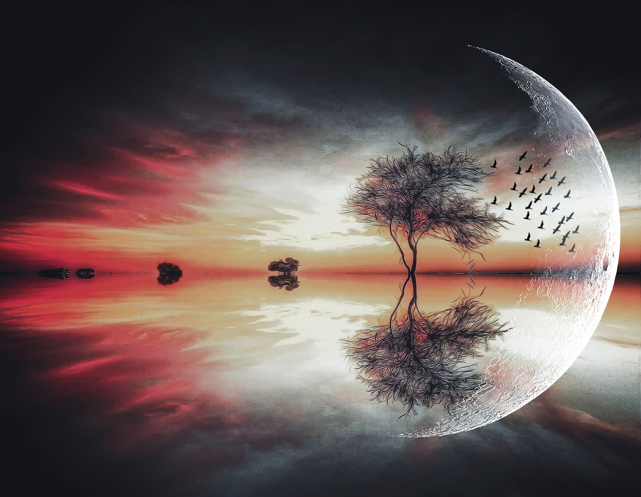 moon, Fantasy Art, Trees, Birds, Landscape, Lake, Reflection