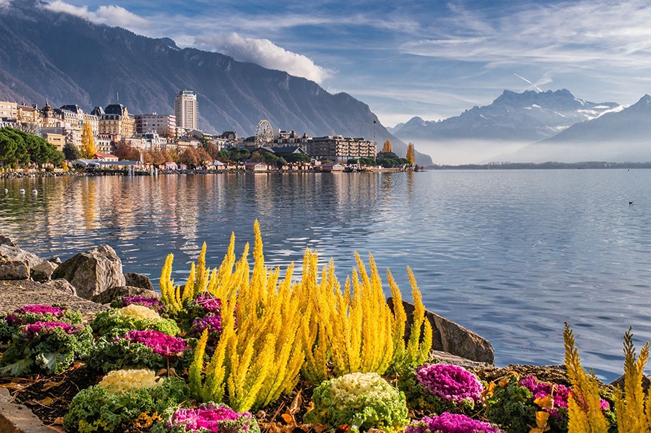 Picture Switzerland Montreux, lake Geneva Nature Mountains Lake