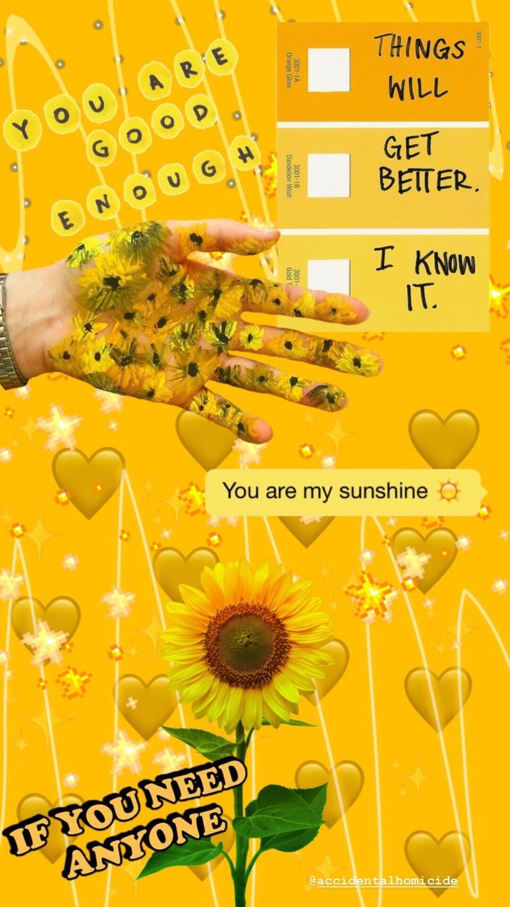 yellow sunflowers wallpaper discovered