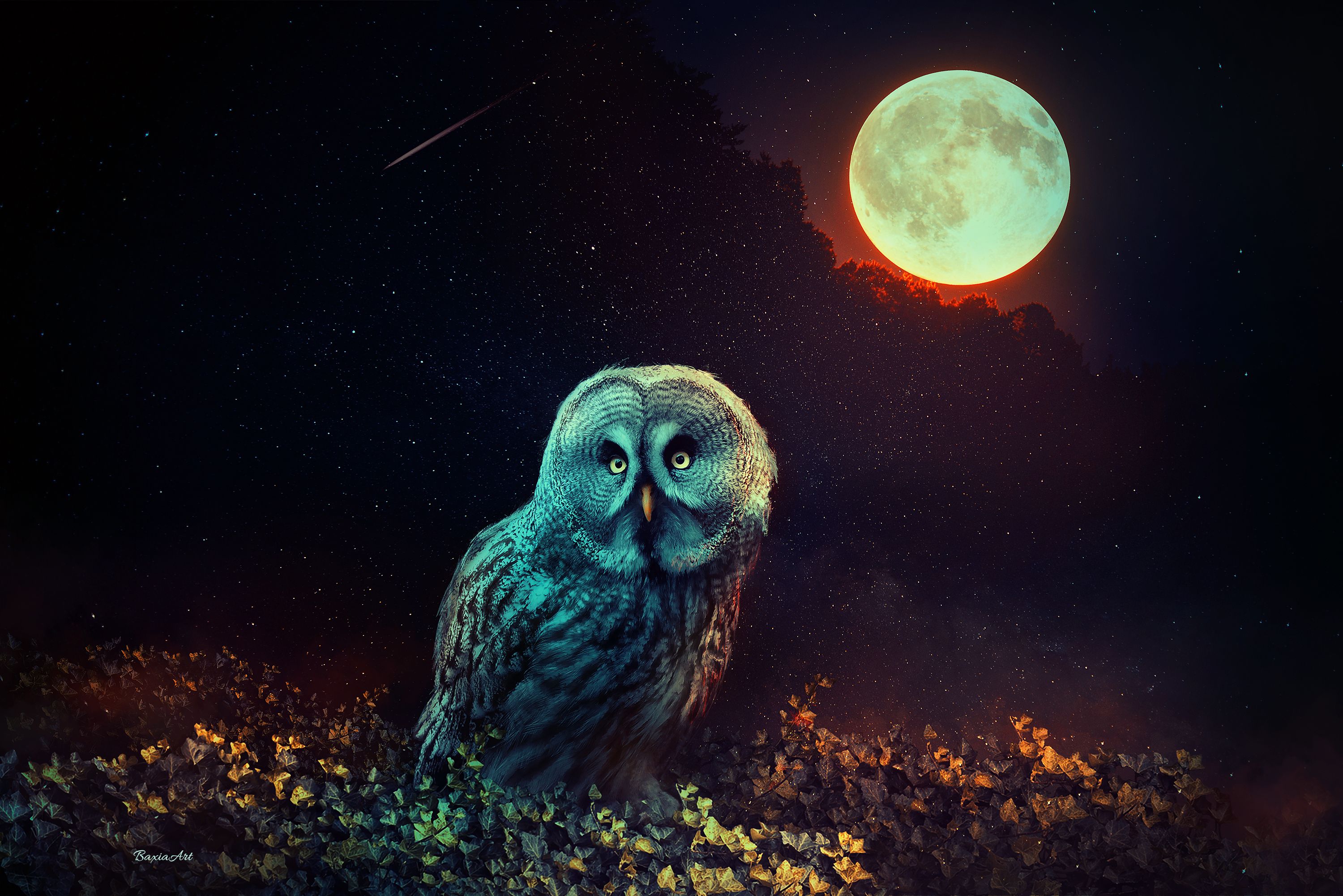 Wallpaper Owl, Night, Full moon, Surreal, HD, Animals