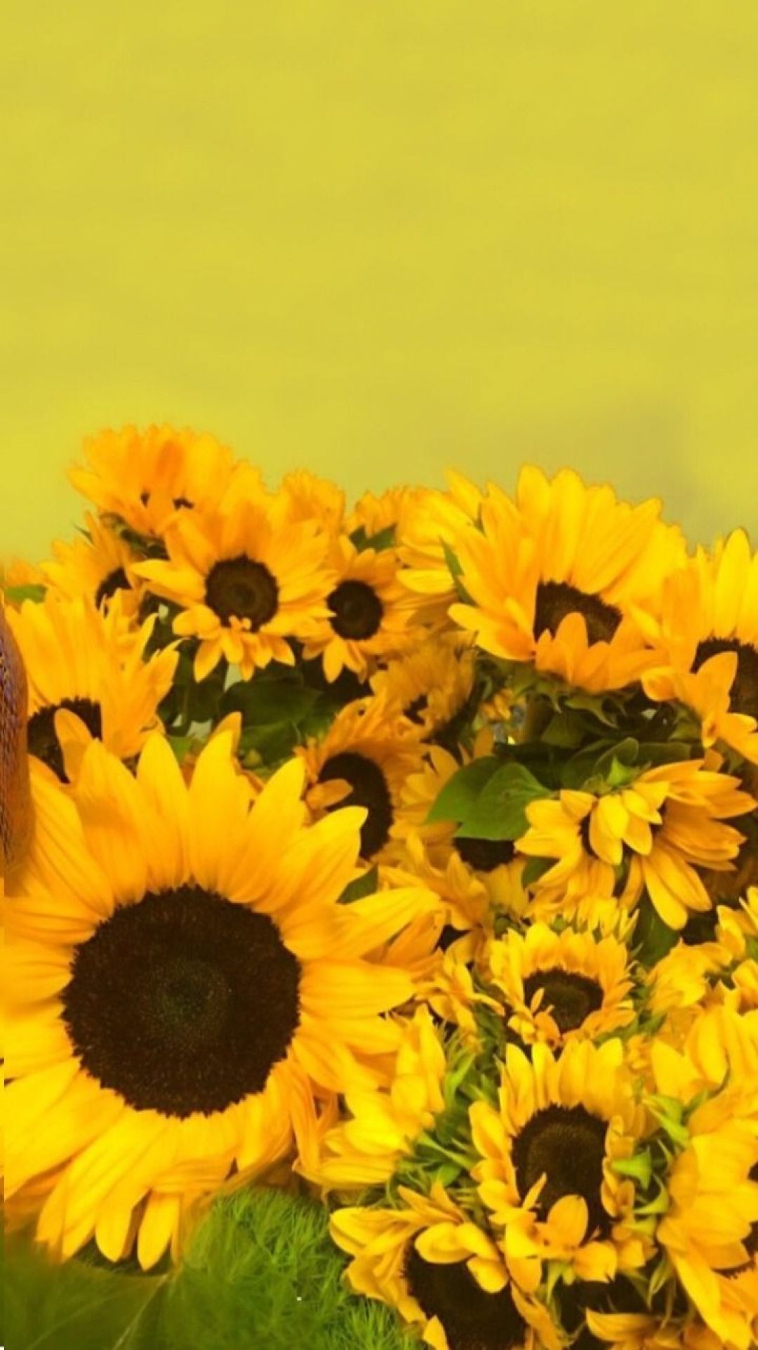 Yellow Aesthetic Sunflowers HD Wallpaper Desktop