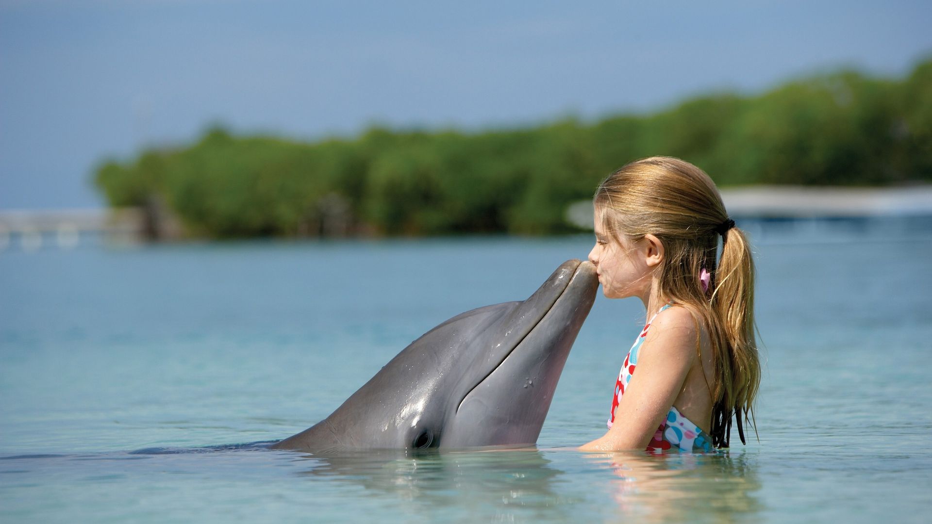 Cute Child With Dolphin HD Wallpaper 1080p