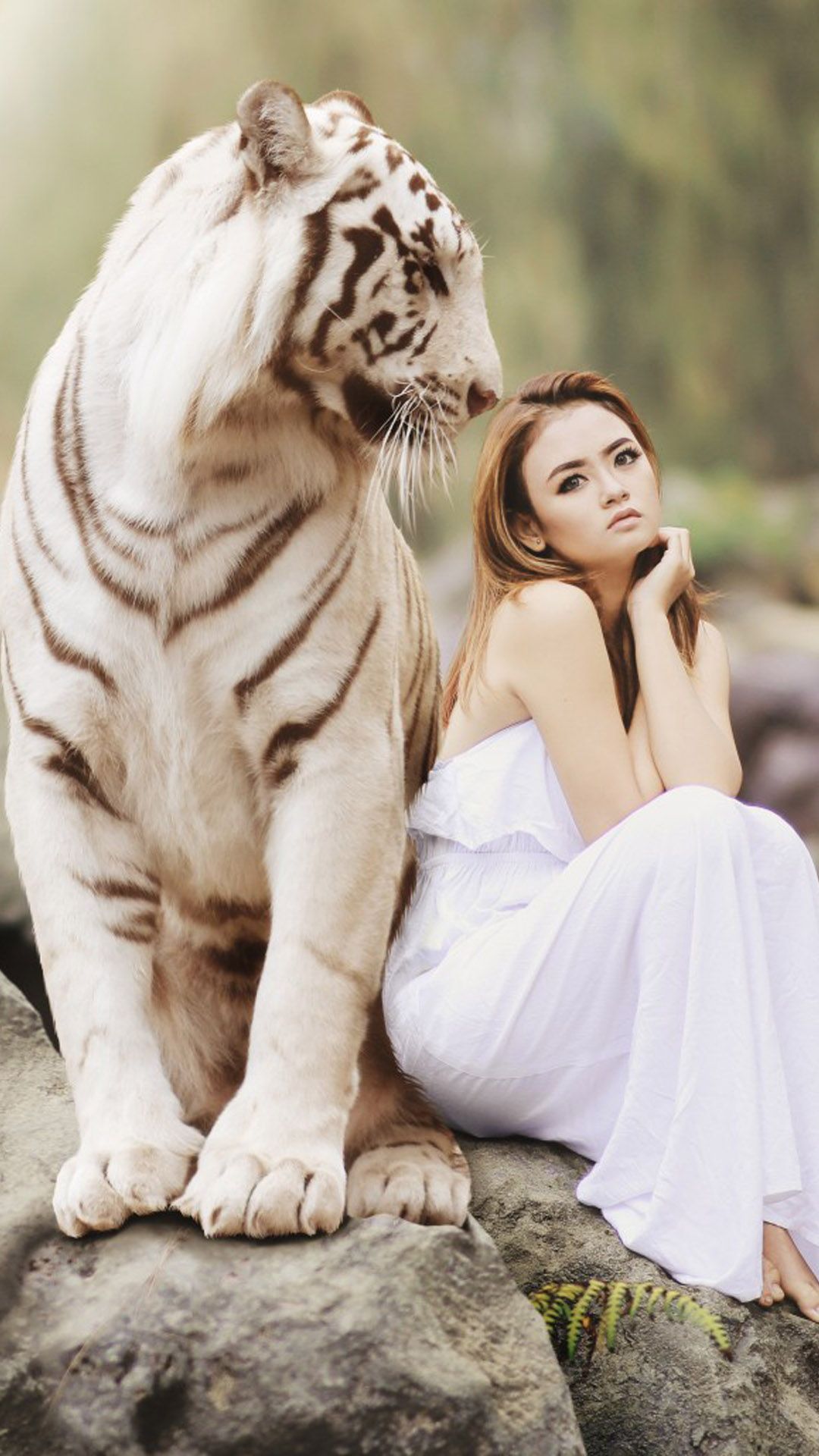 Asian Model With White Tiger Photohoot 4K Ultra HD Mobile Wallpaper