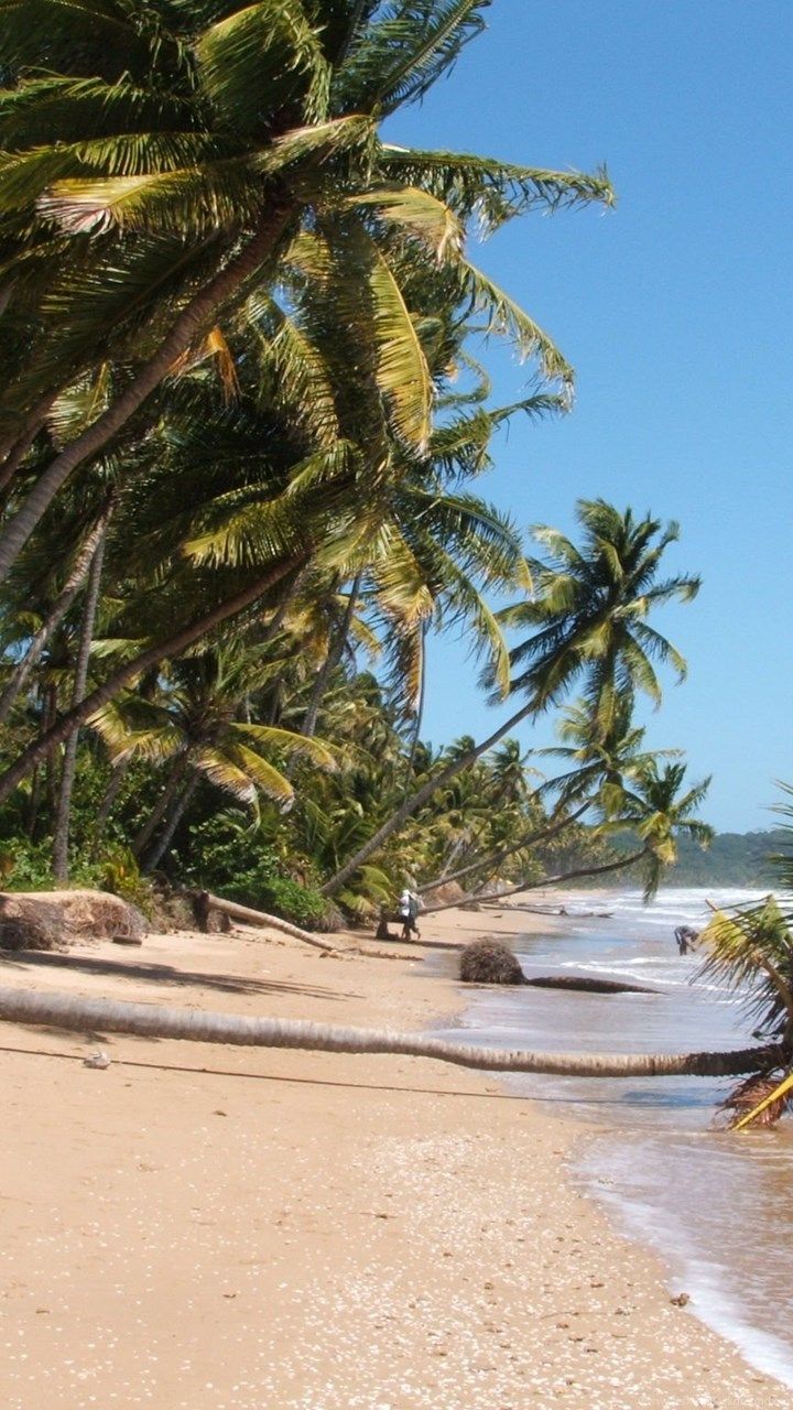 Mayaro Beach, Trinidad & Tobago 1920x1080p HD Beach Travel