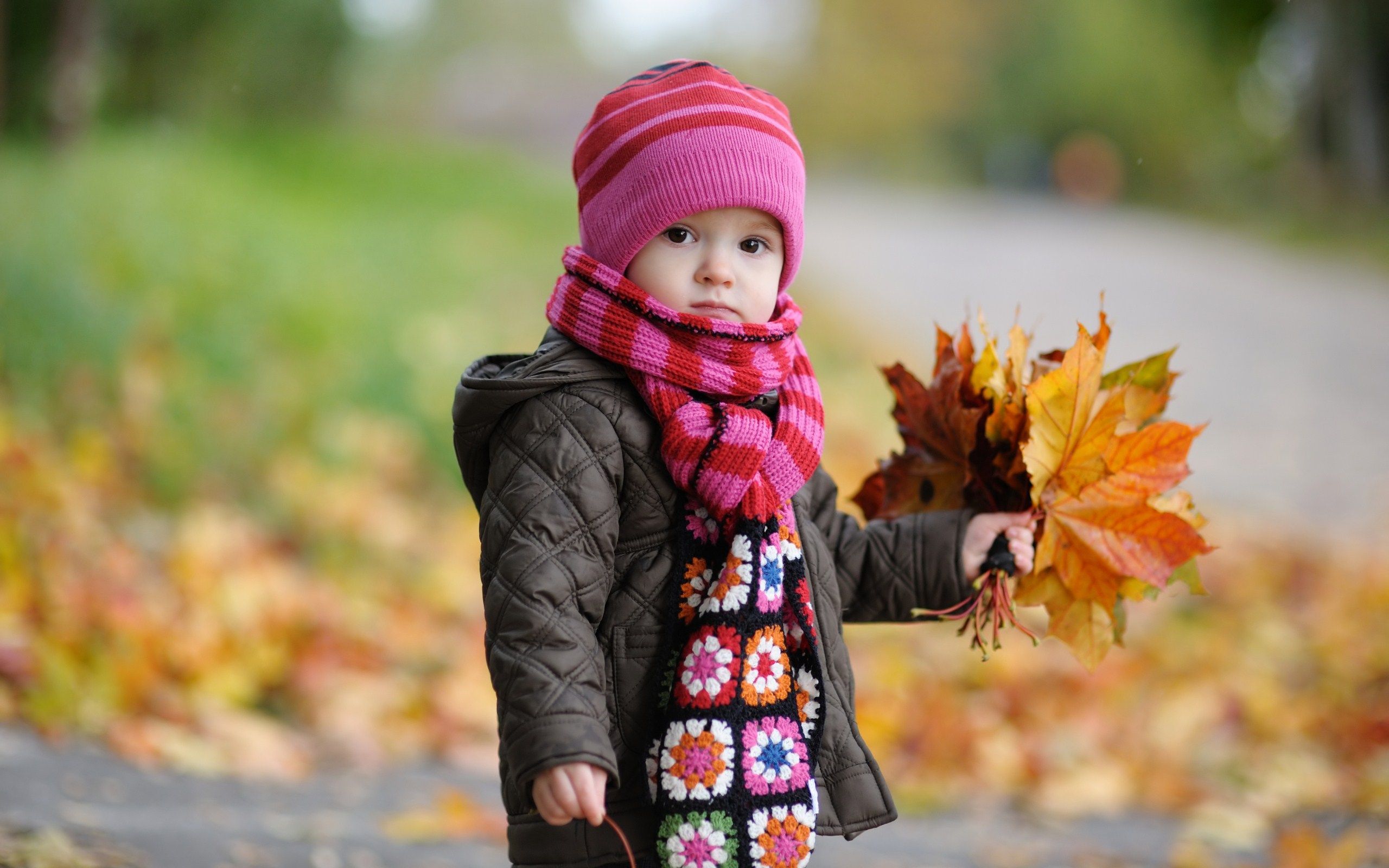 View Sweet Little Girl Child Autumn Leaves Photo HD Wallpaper