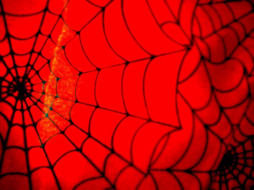 Spiderman Wallpaper Spider Web Background