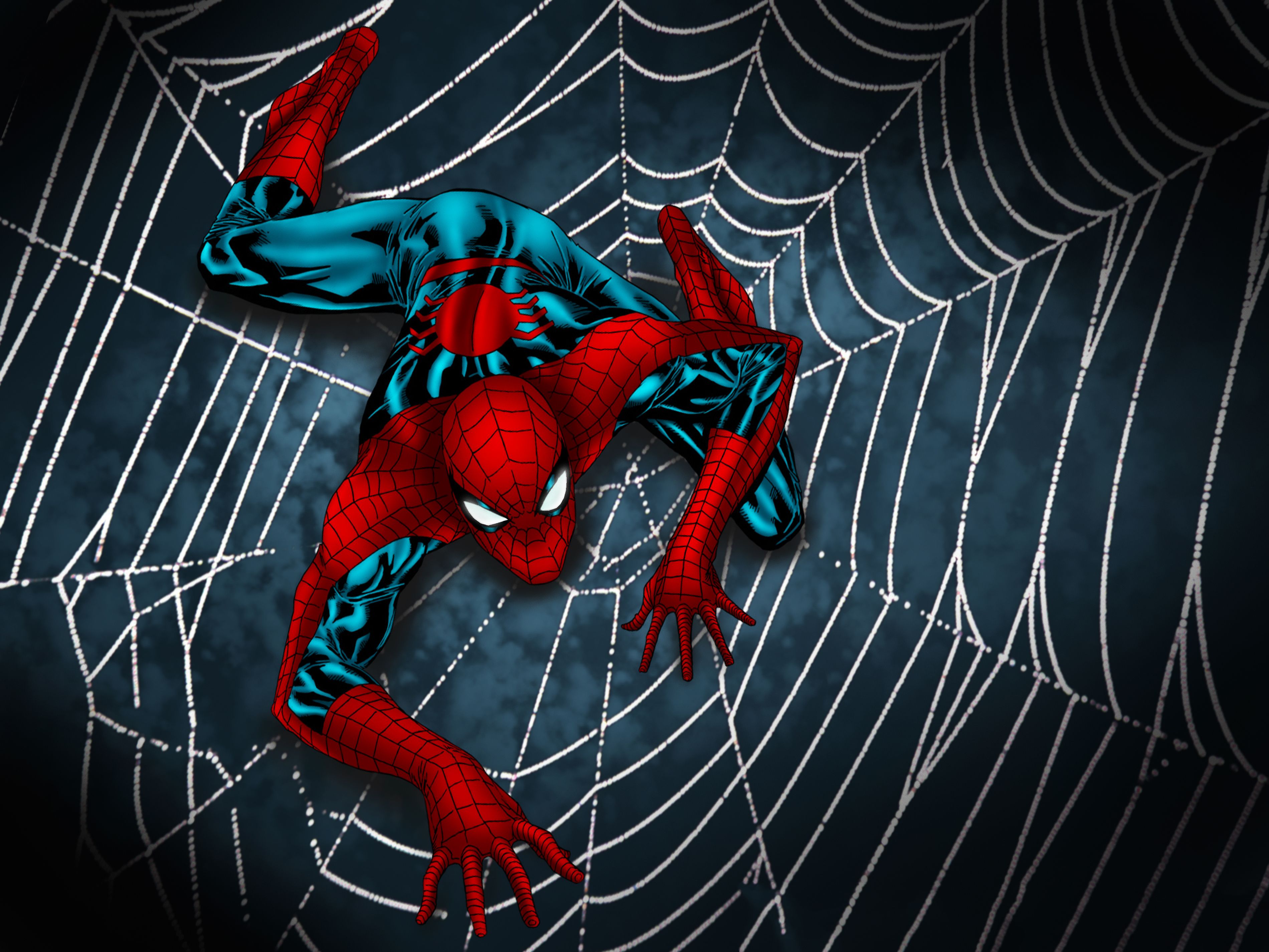 Spider Man Web, HD Superheroes, 4k Wallpaper, Image, Background