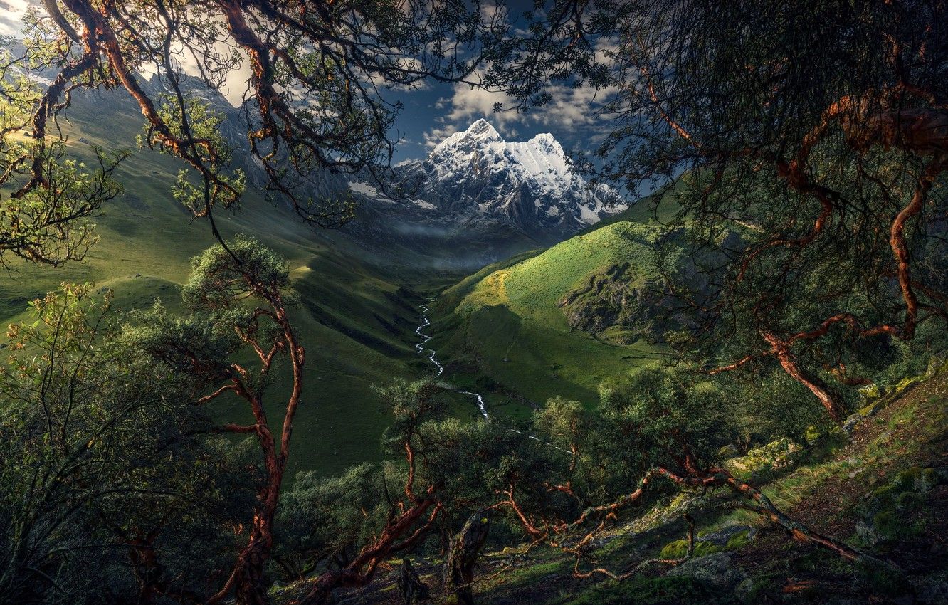 Wallpaper trees, mountains, river, valley, South America image